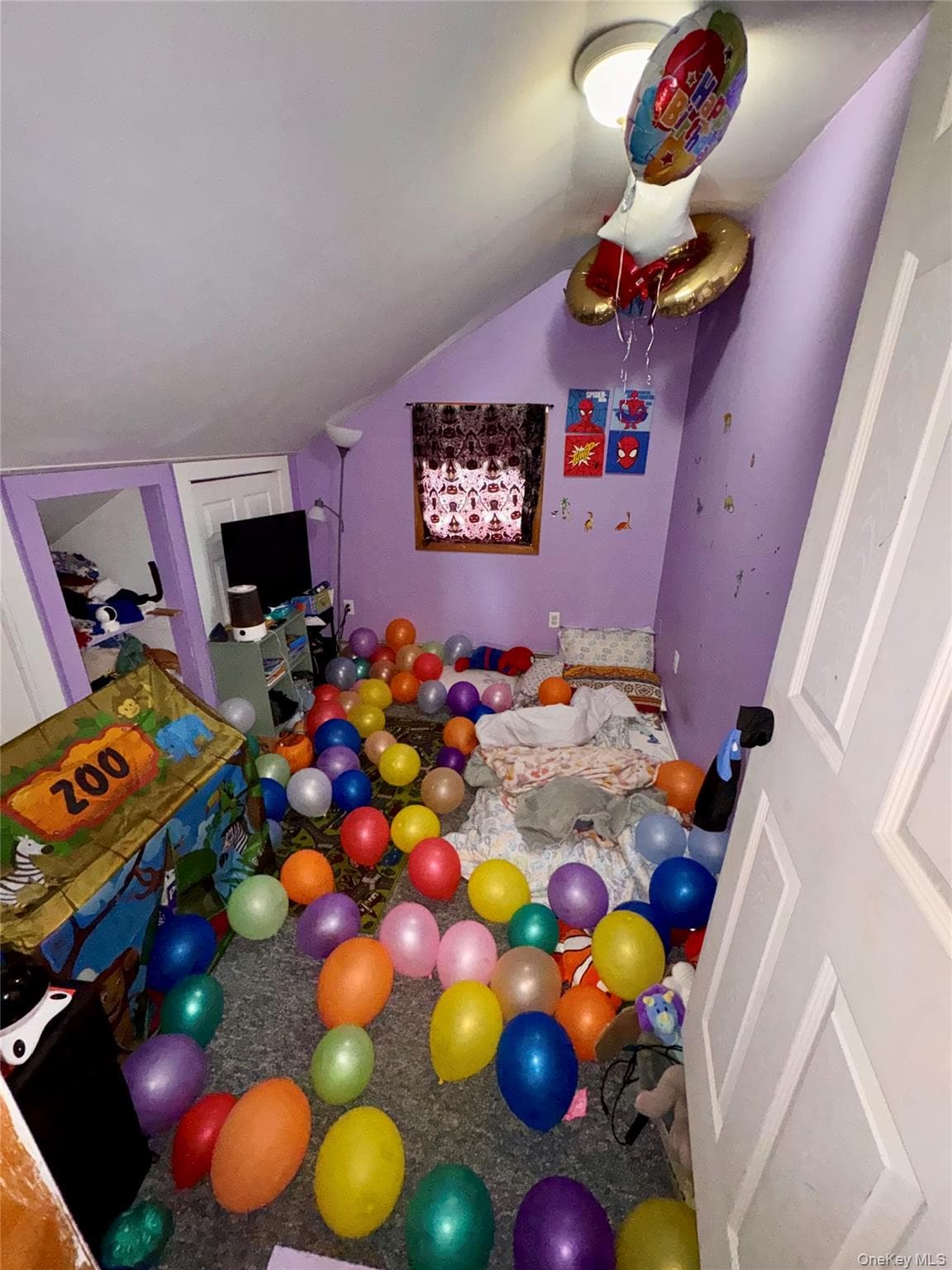 Photo 12