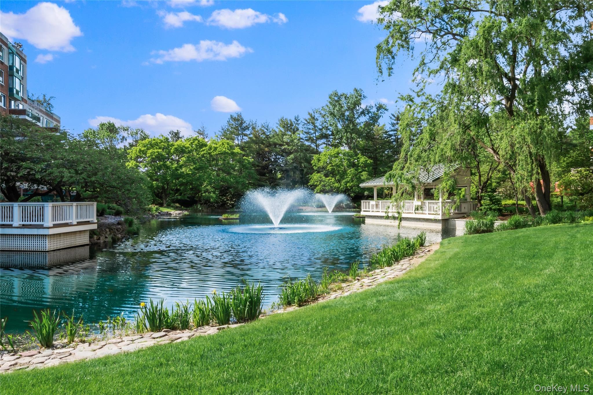 Pond