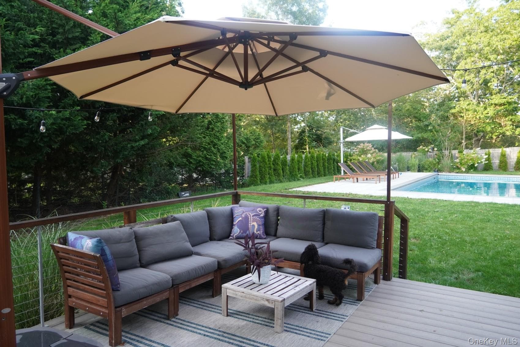 Deck