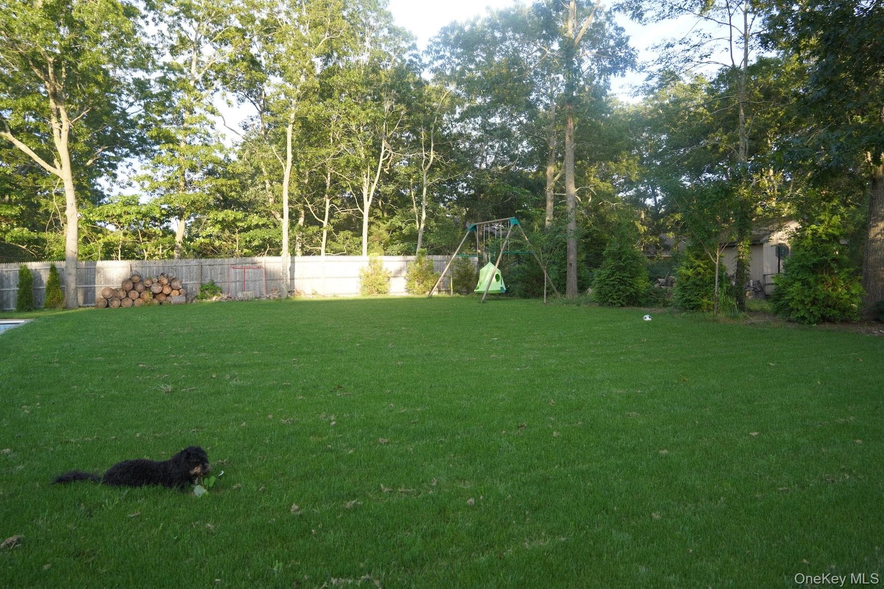 Yard