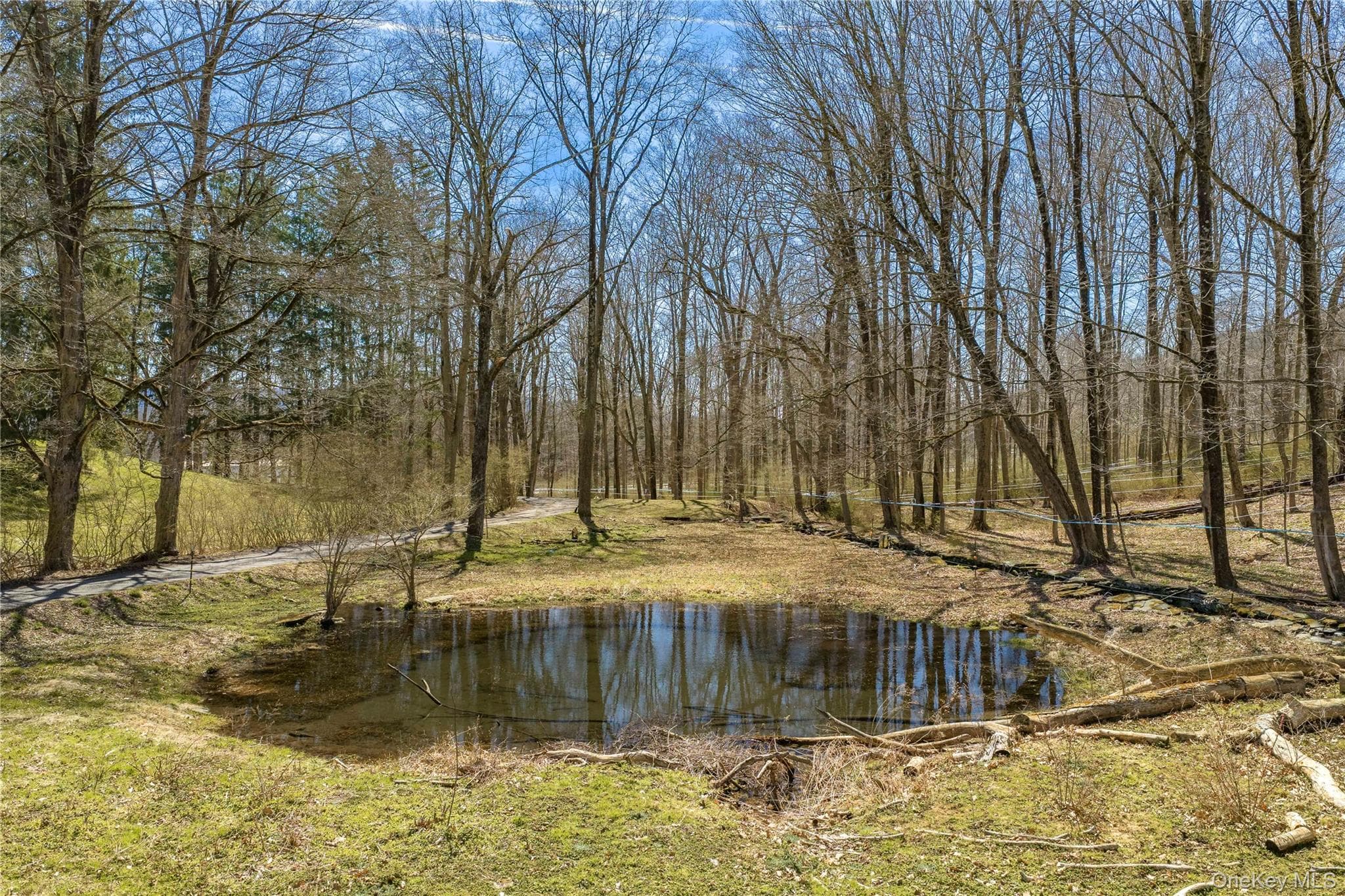 Pond