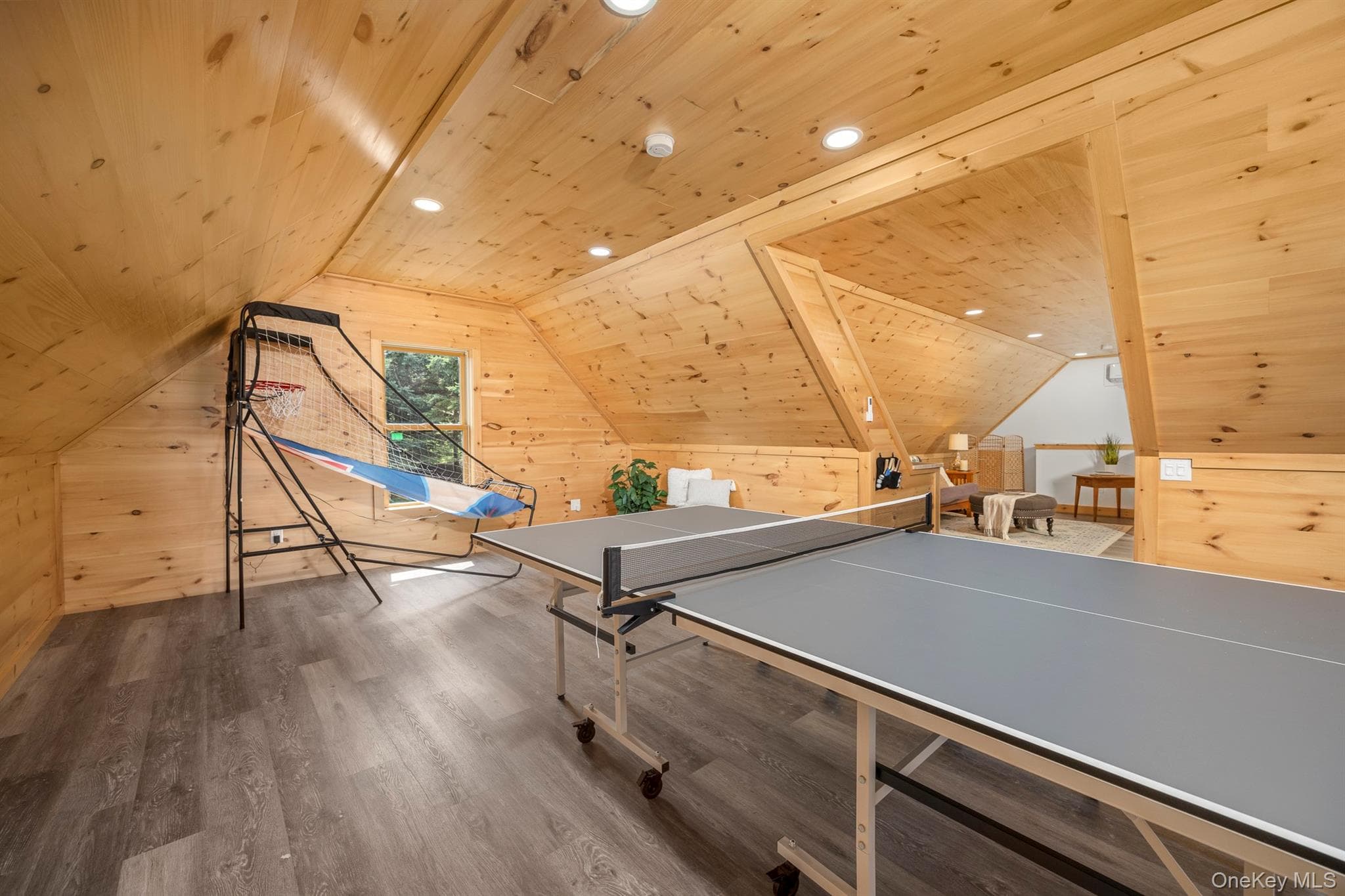 Recreation Room