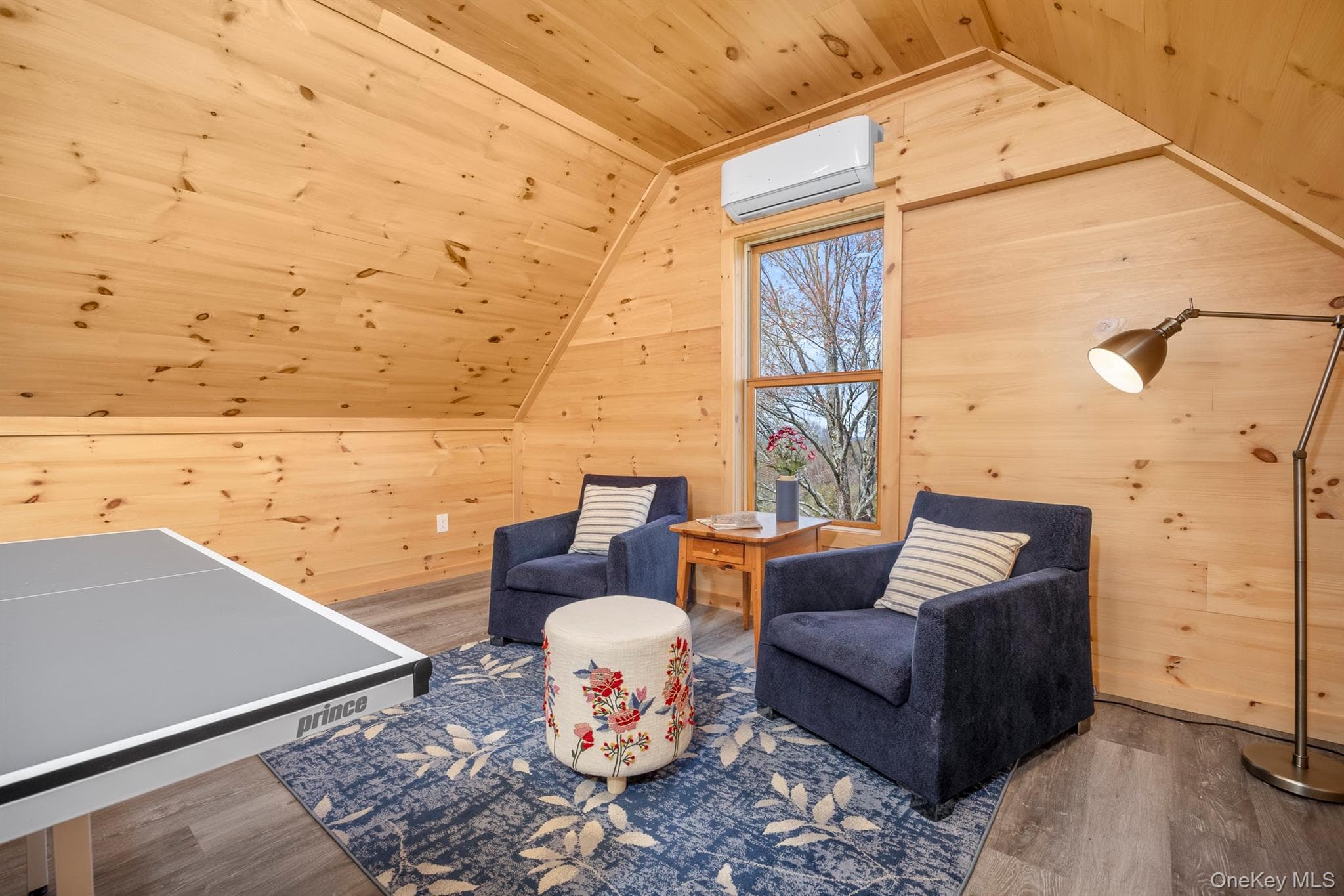 Recreation Room