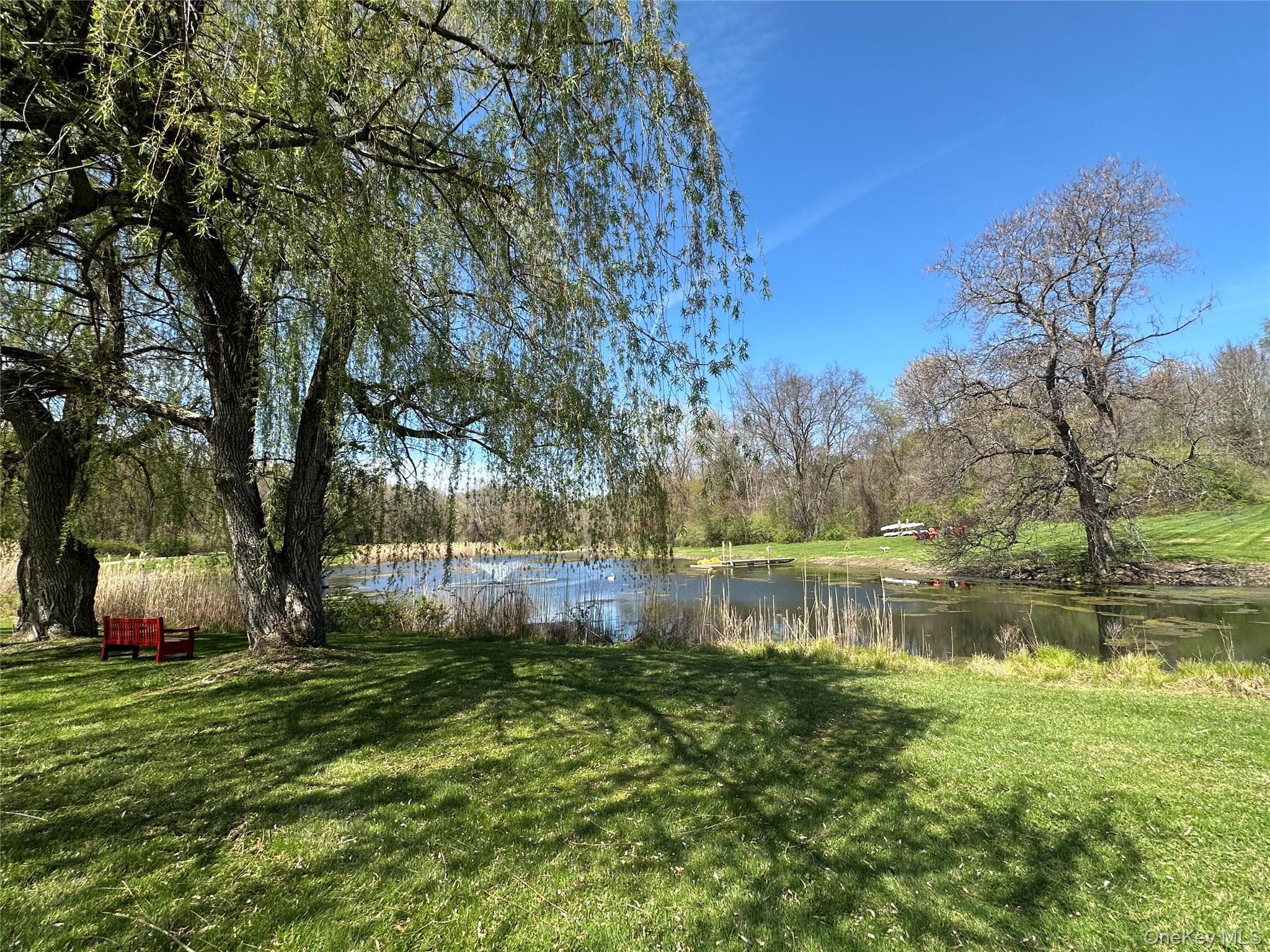 Pond