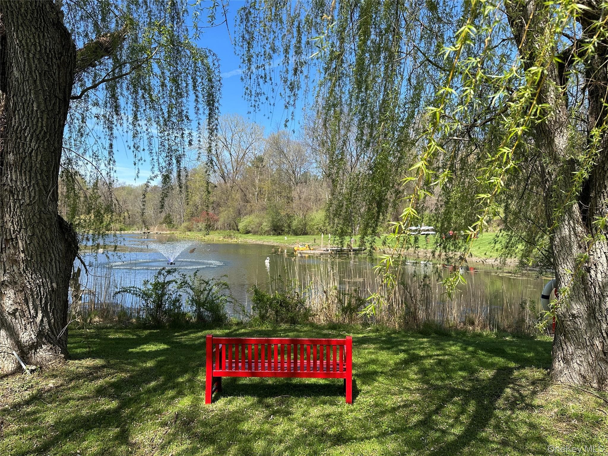 Pond