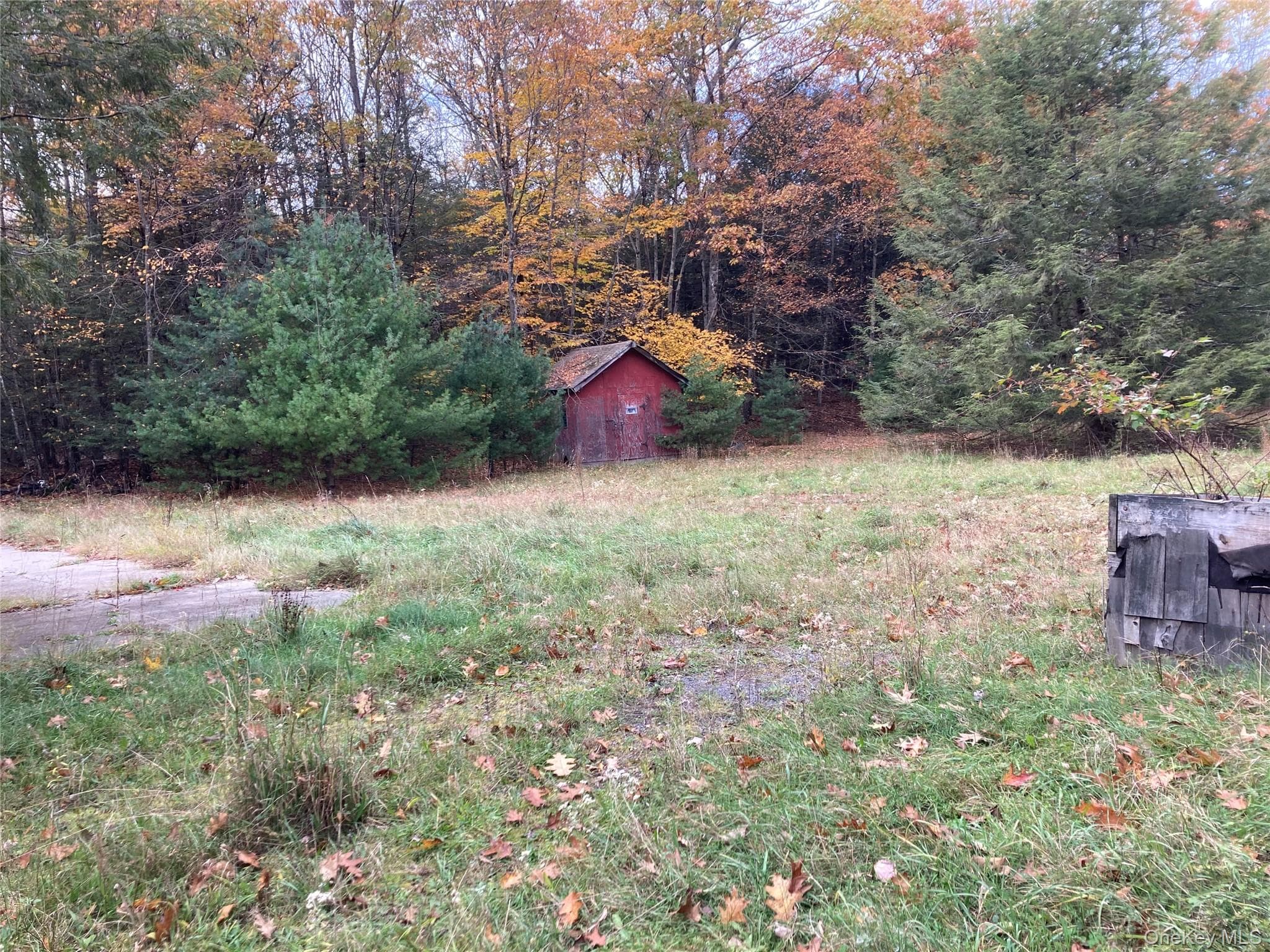 Photo 12