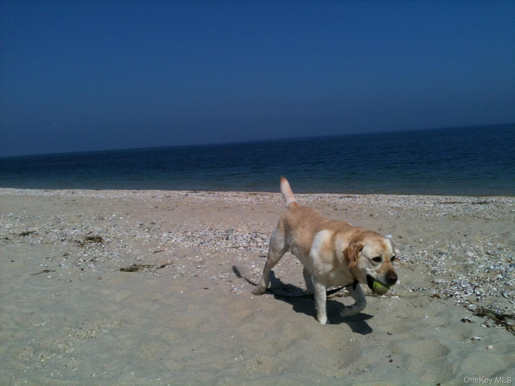 Photo 22