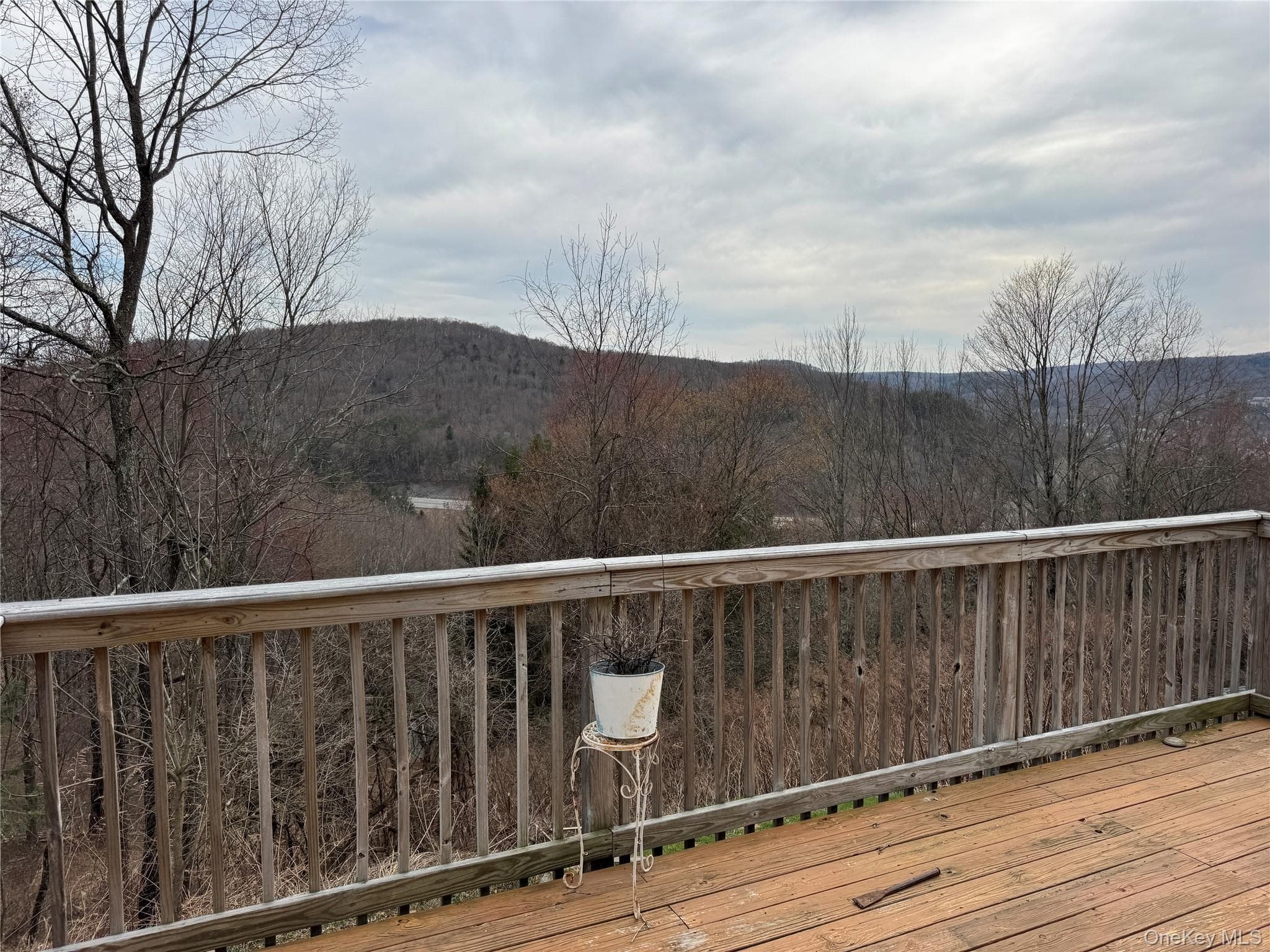 View
