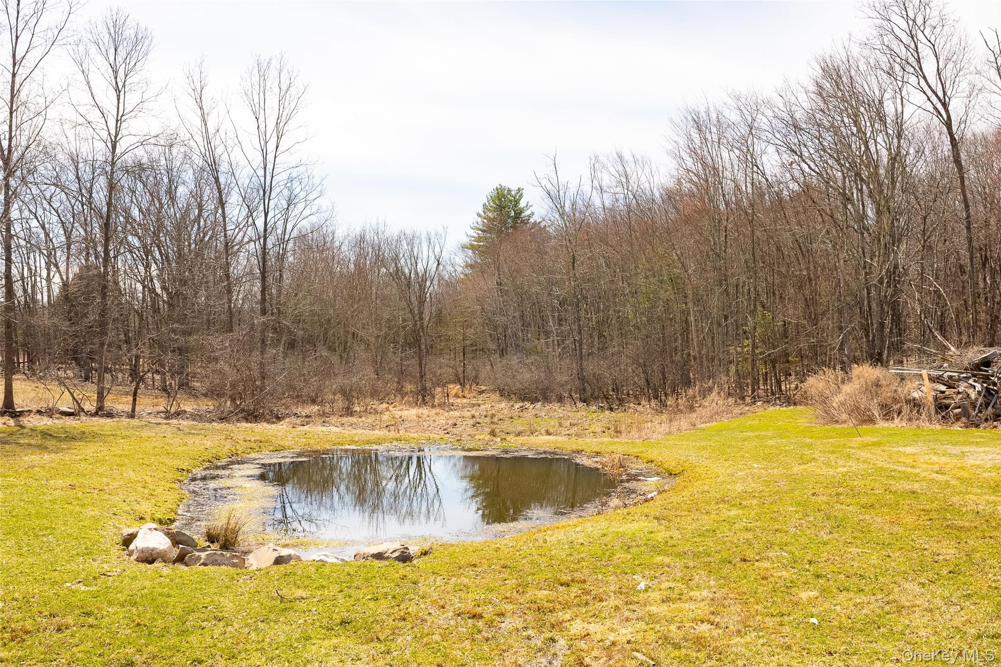 Pond
