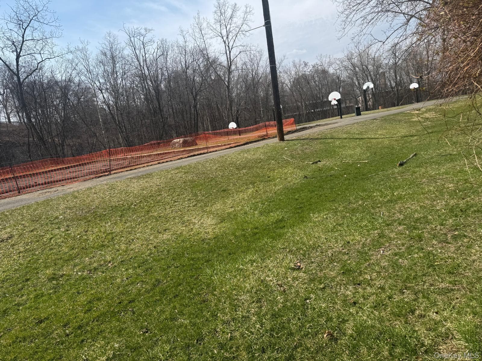 Basketball Court