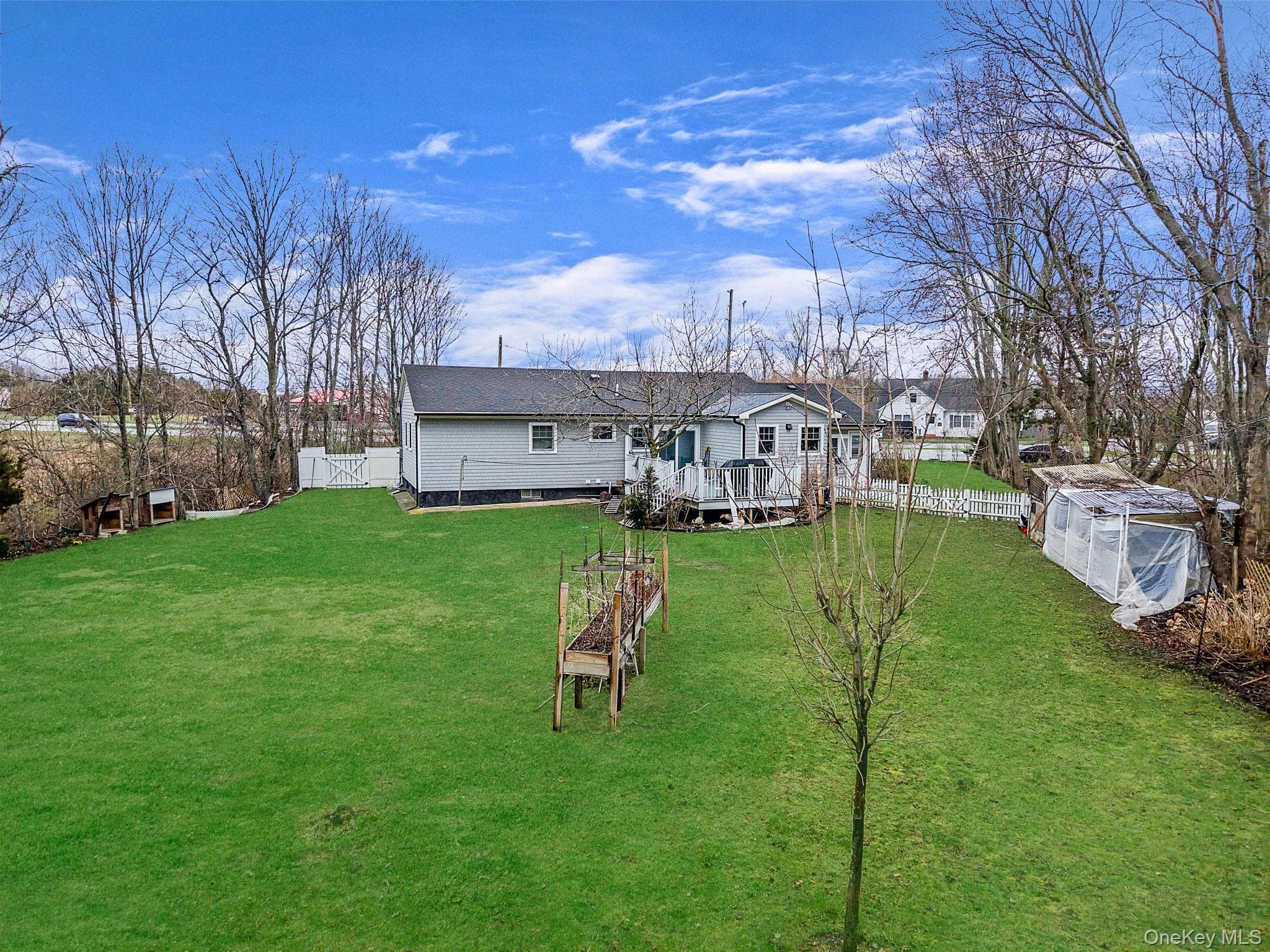 Photo 24