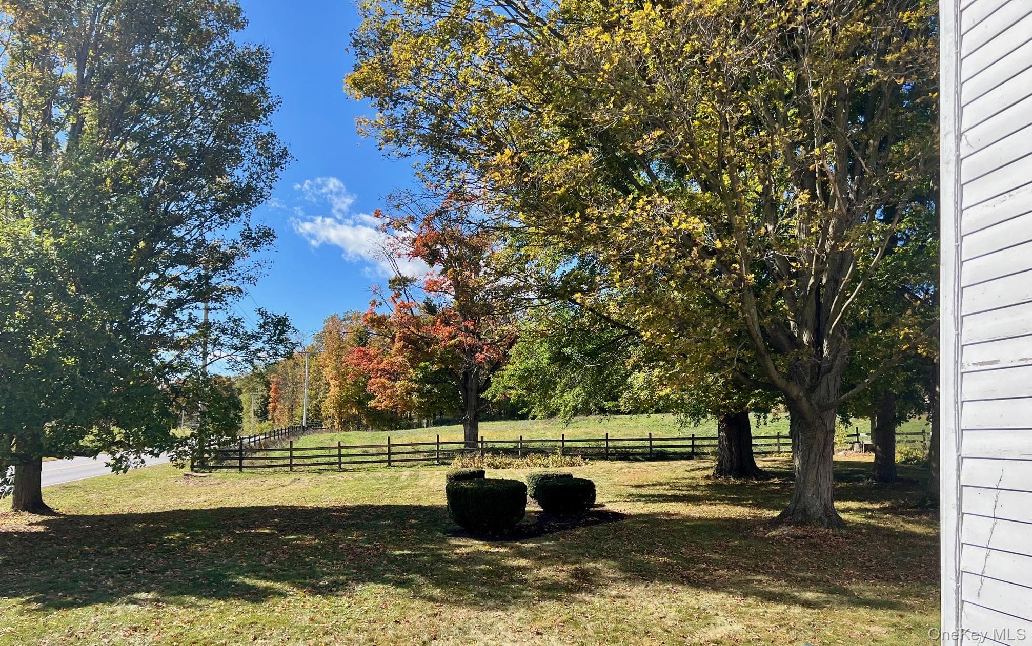 Yard