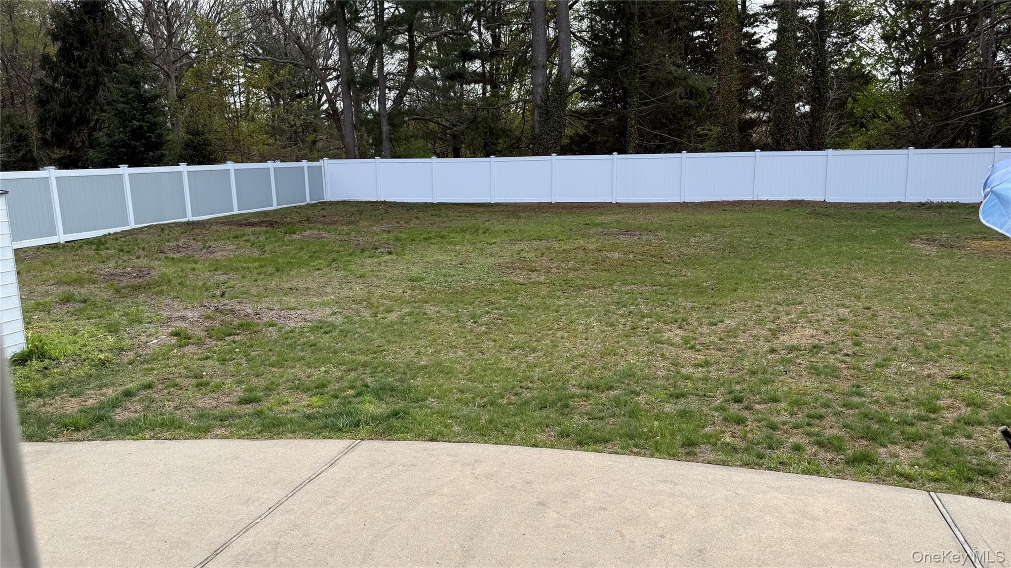 Yard