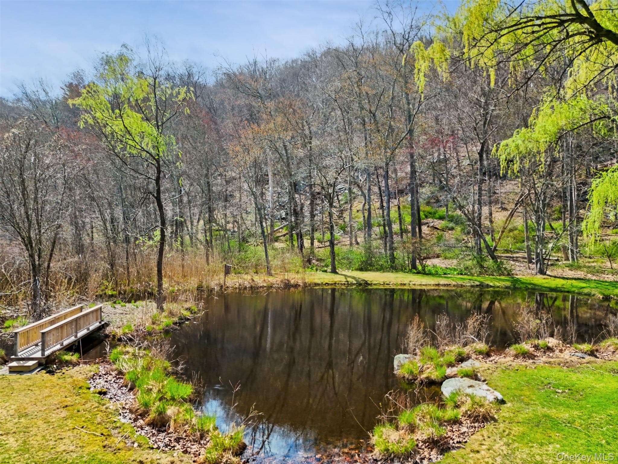 Pond