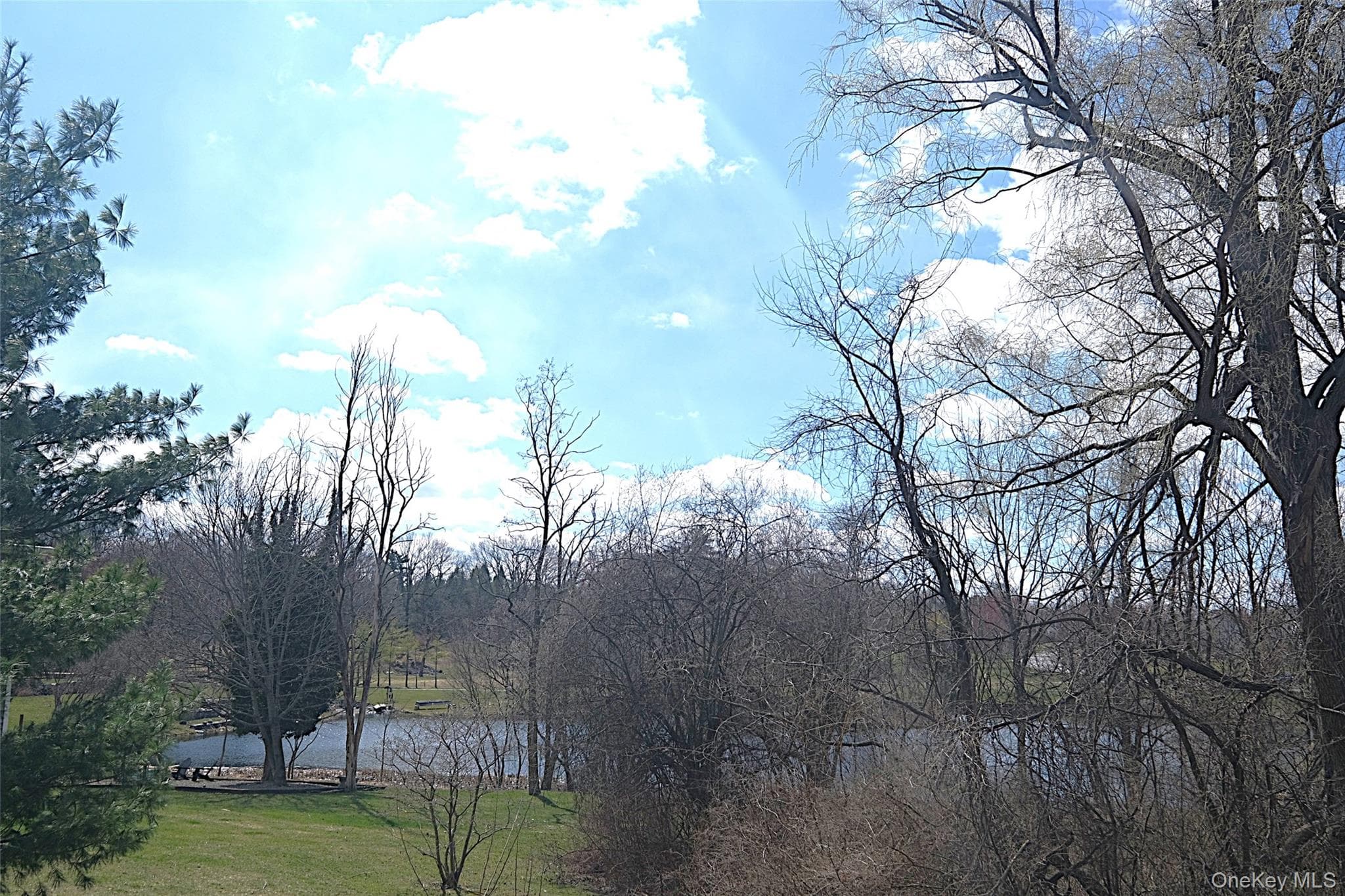 Pond
