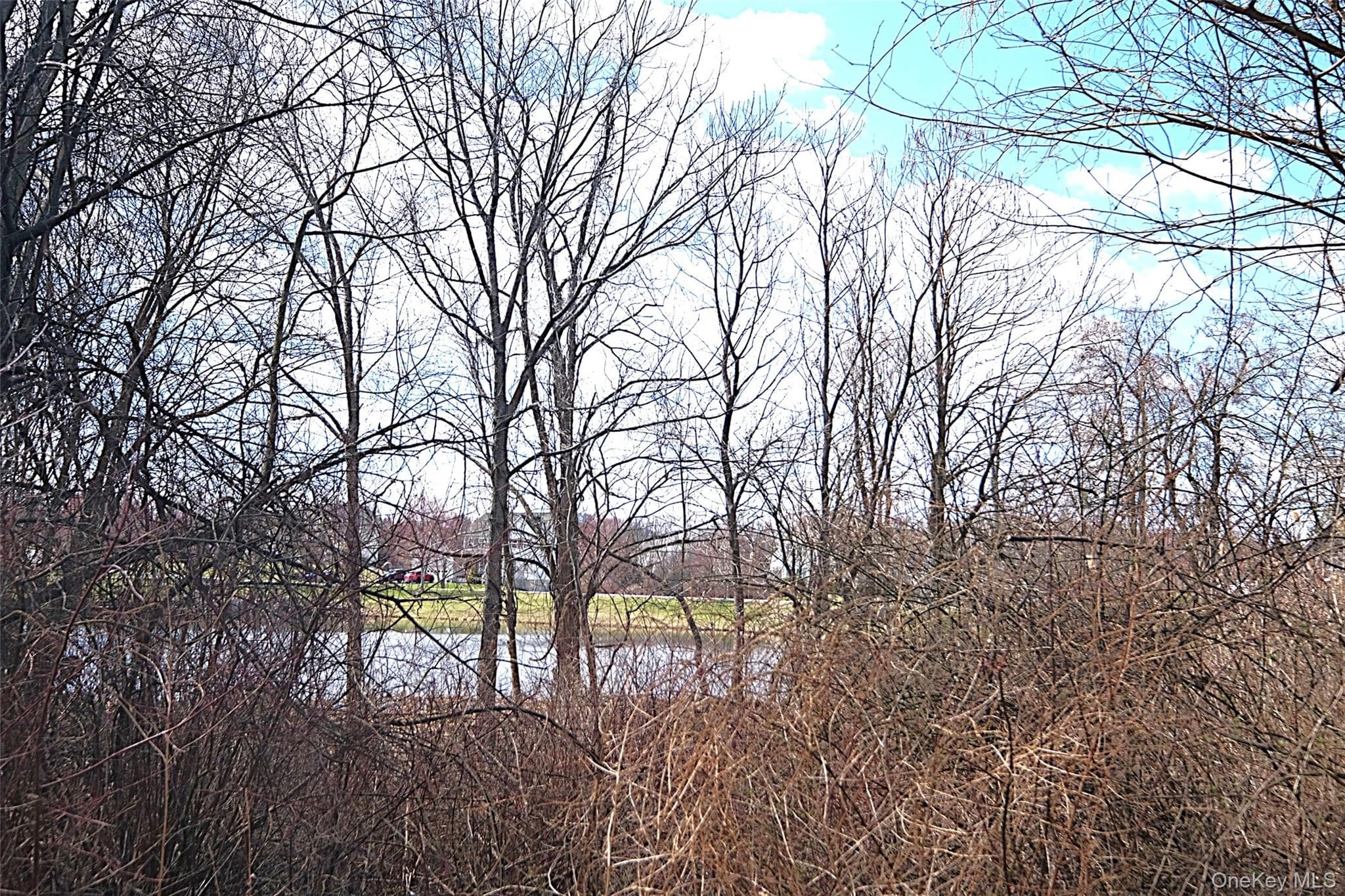 Pond