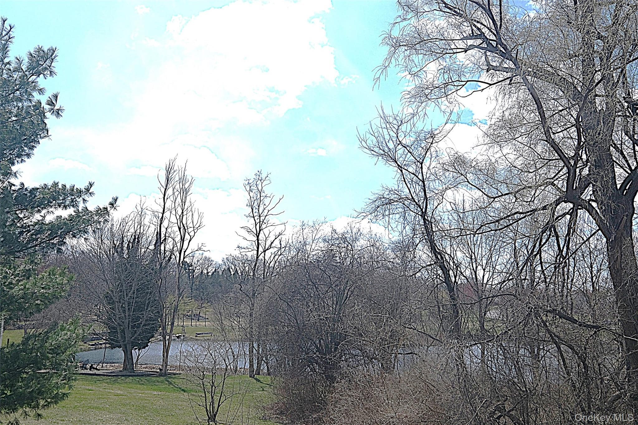 Photo 31