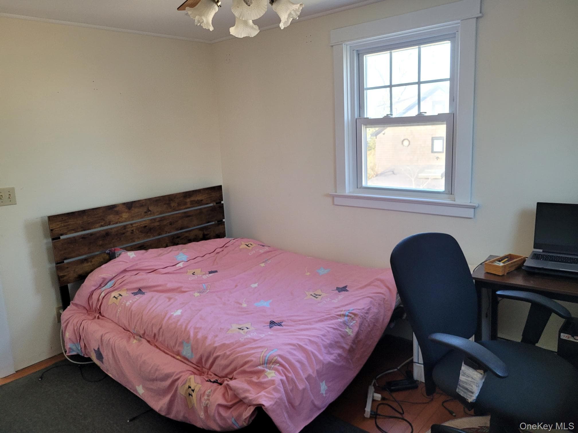Photo 22