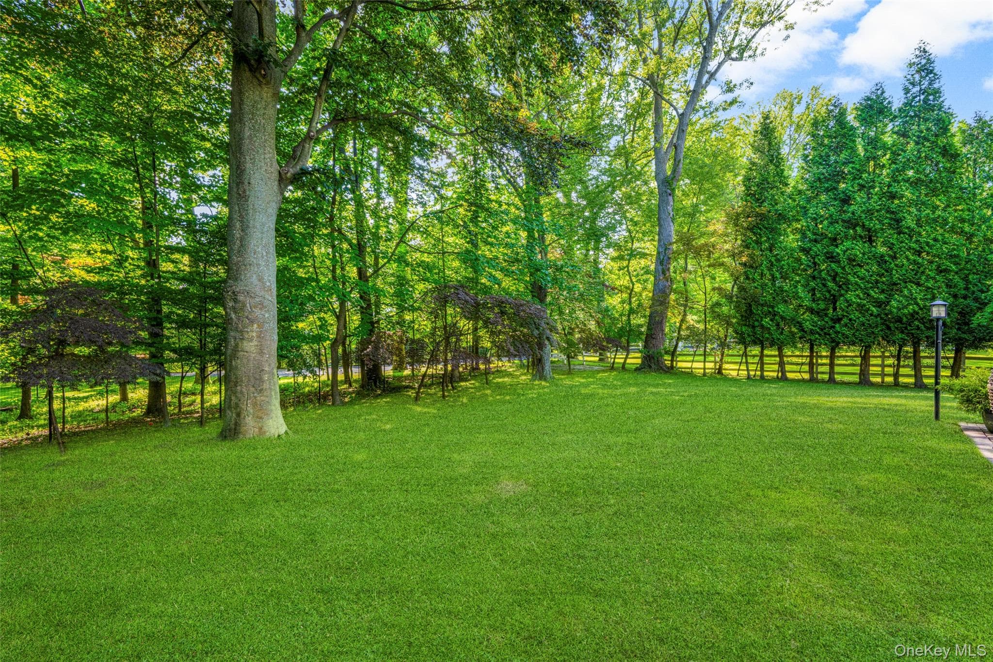 Yard