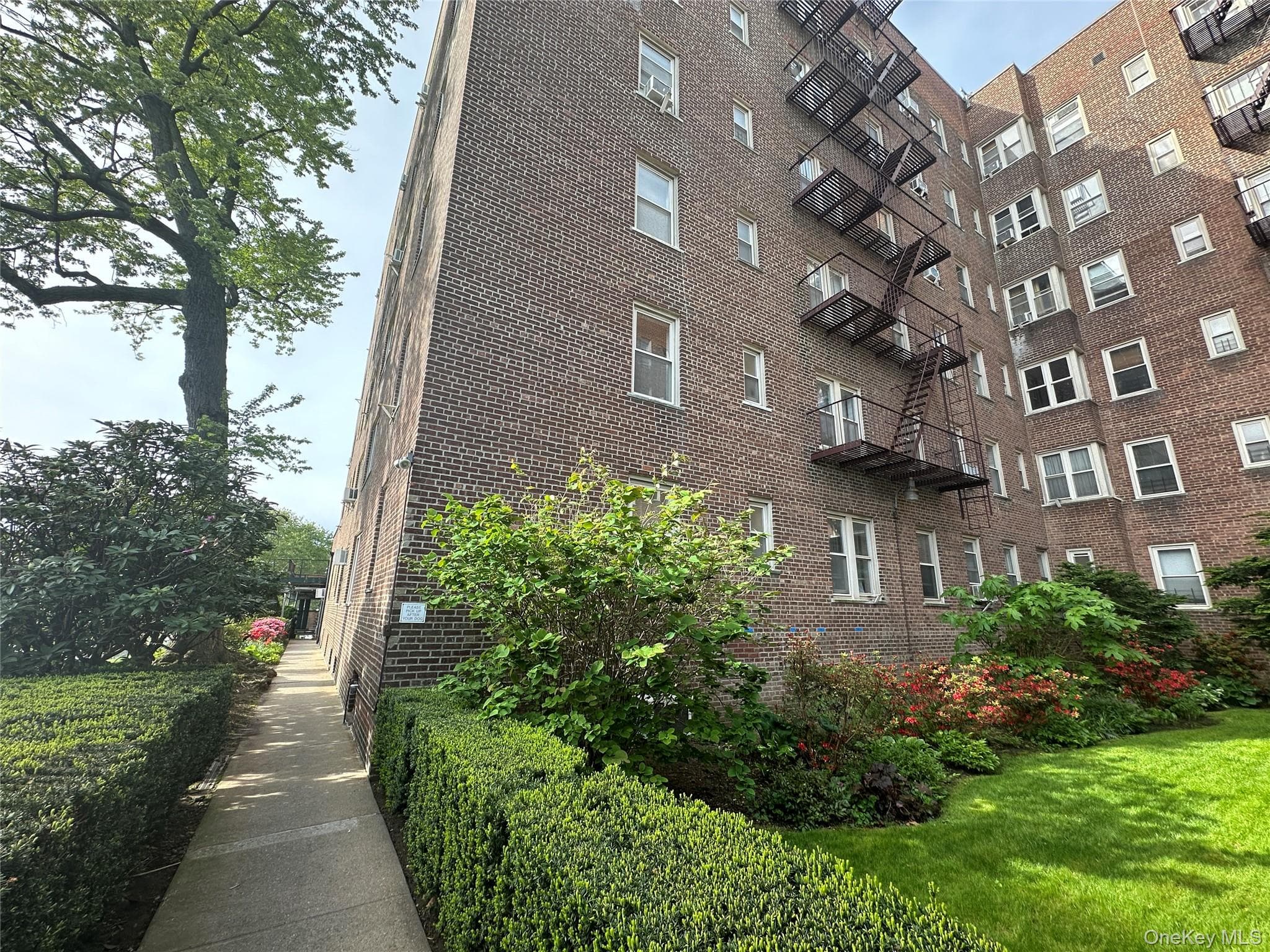 Back of Structure