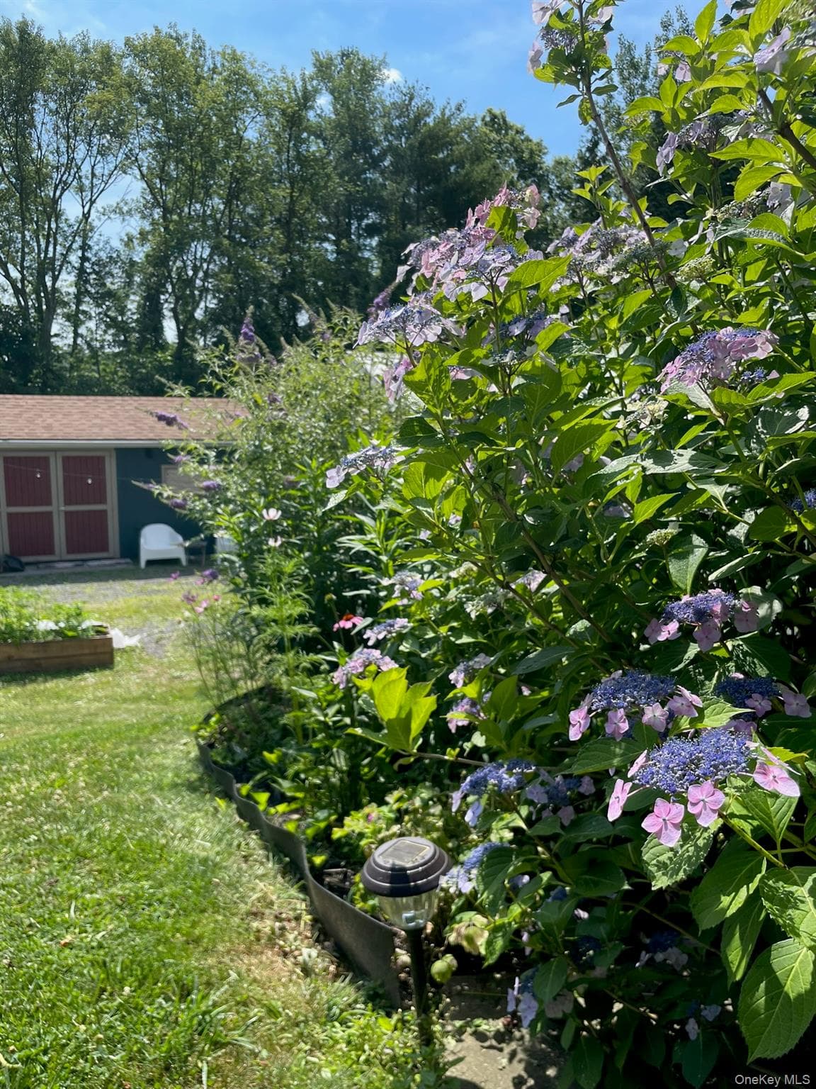 Yard
