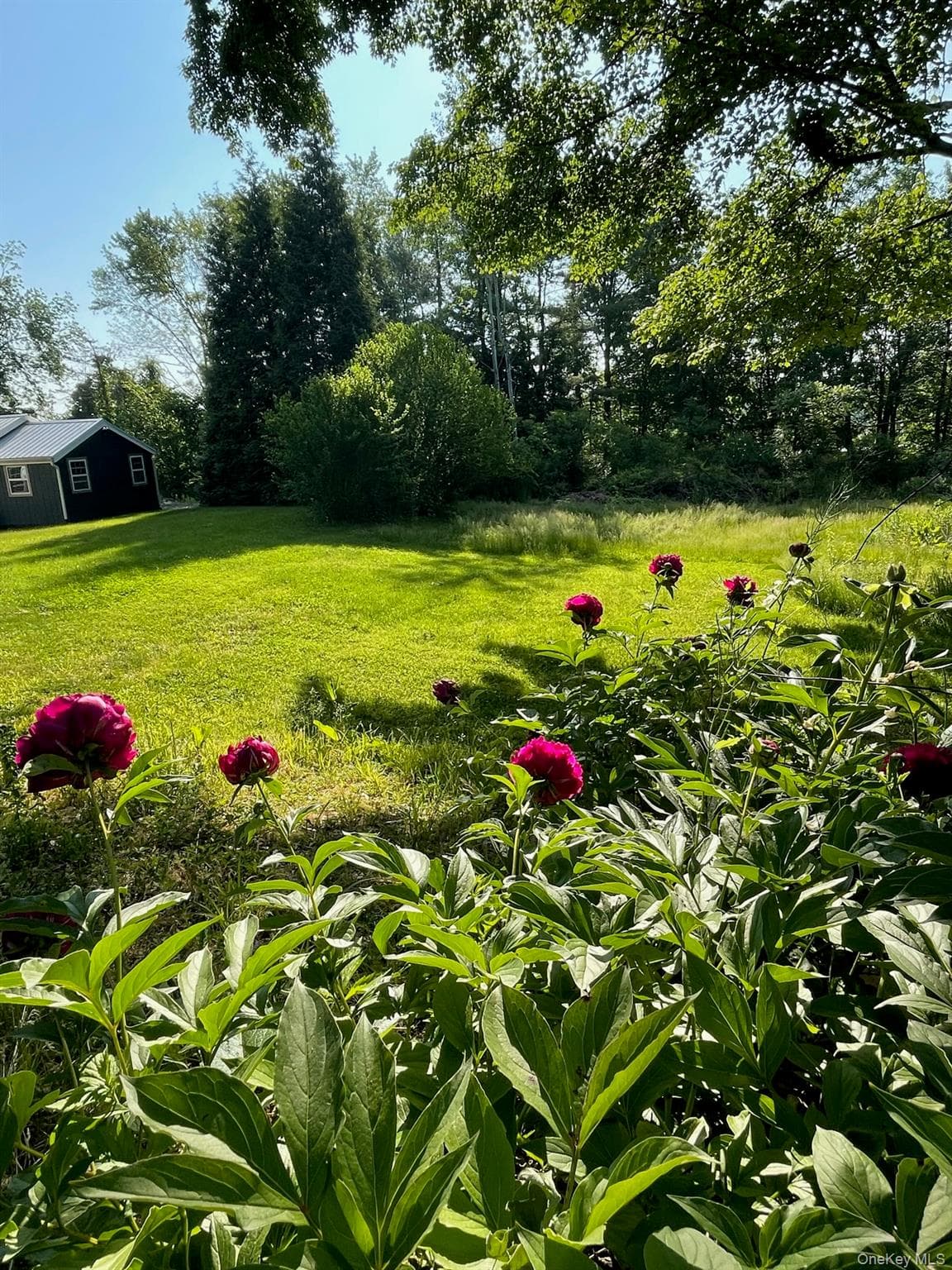 Yard
