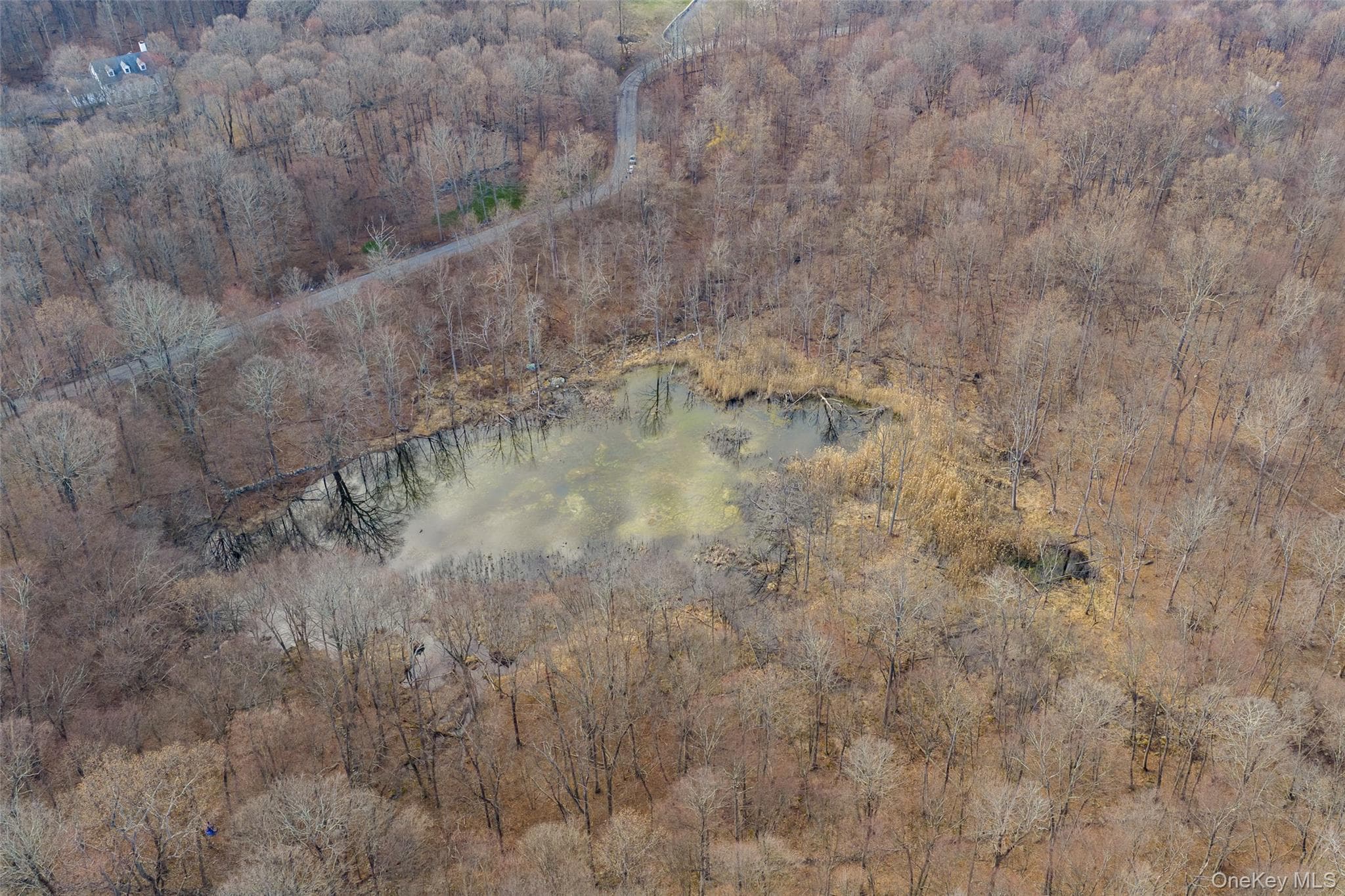 Pond