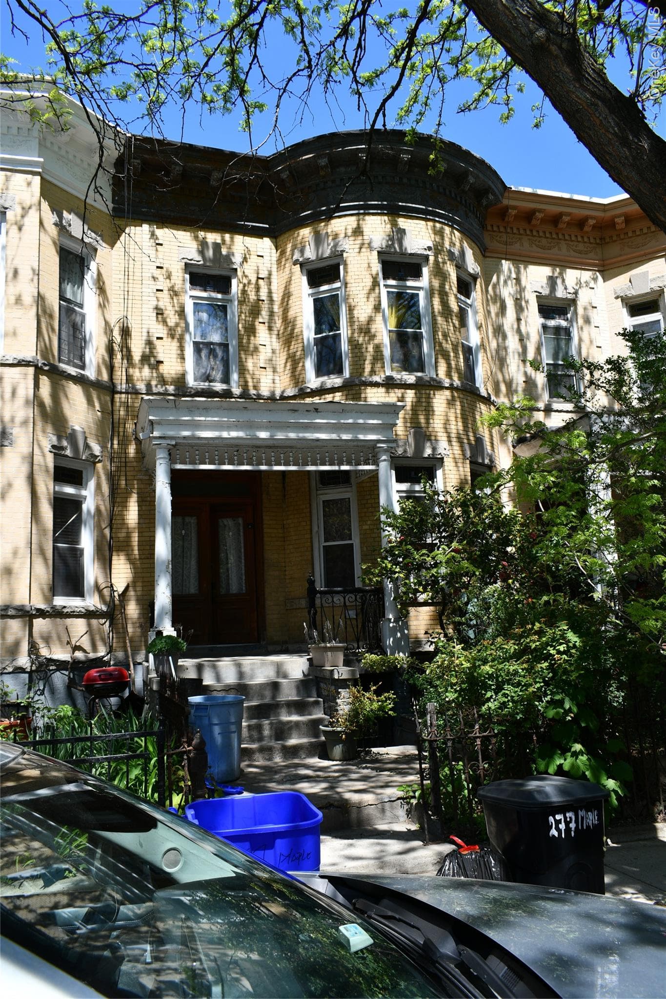 Photo 5