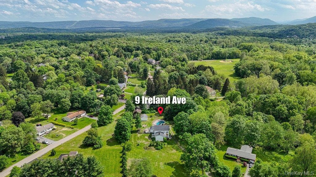Photo 43