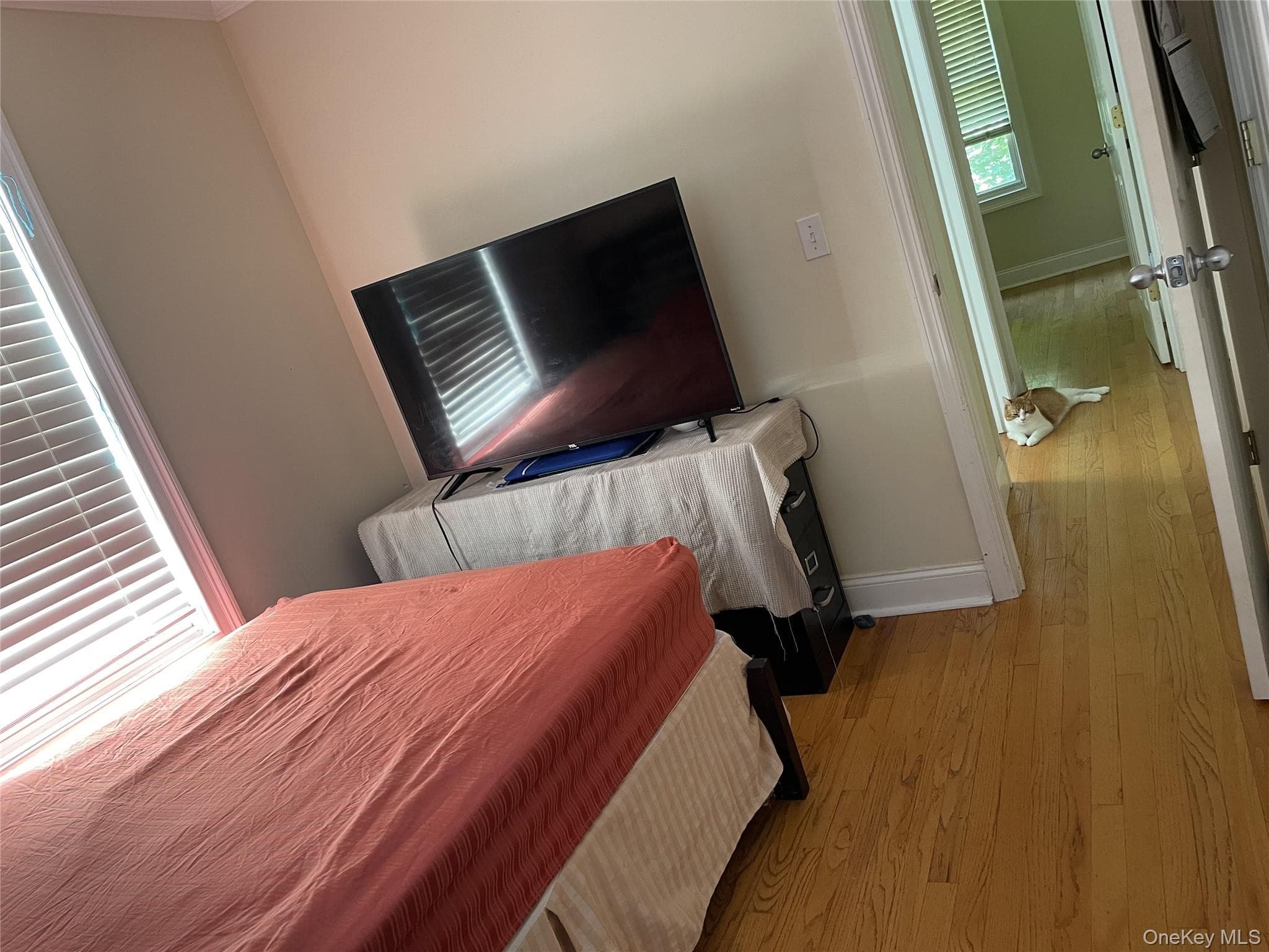 Photo 26