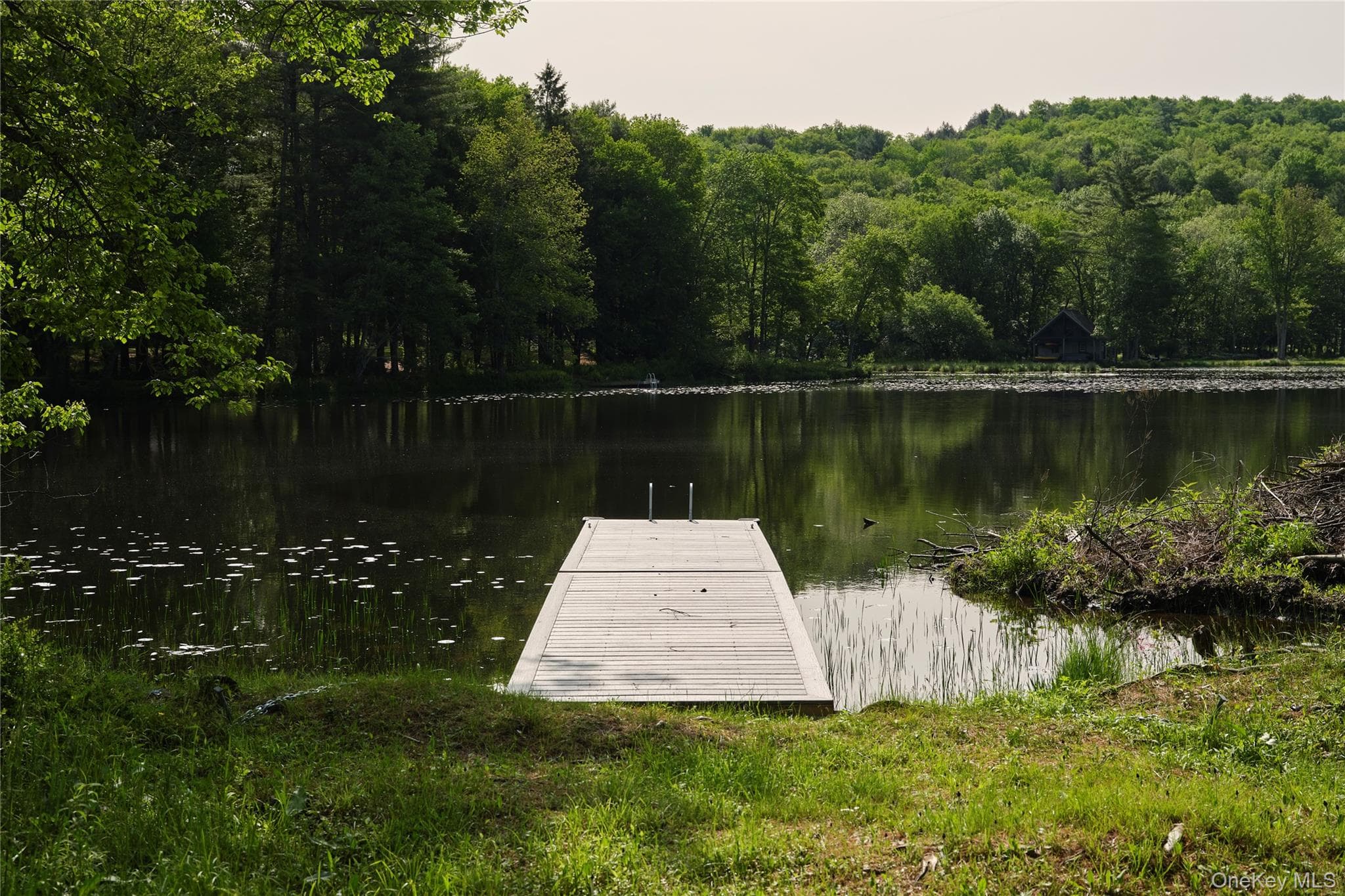 Dock