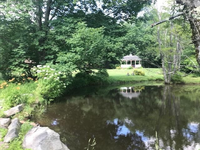 Pond