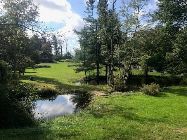 Pond