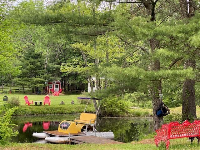 Pond