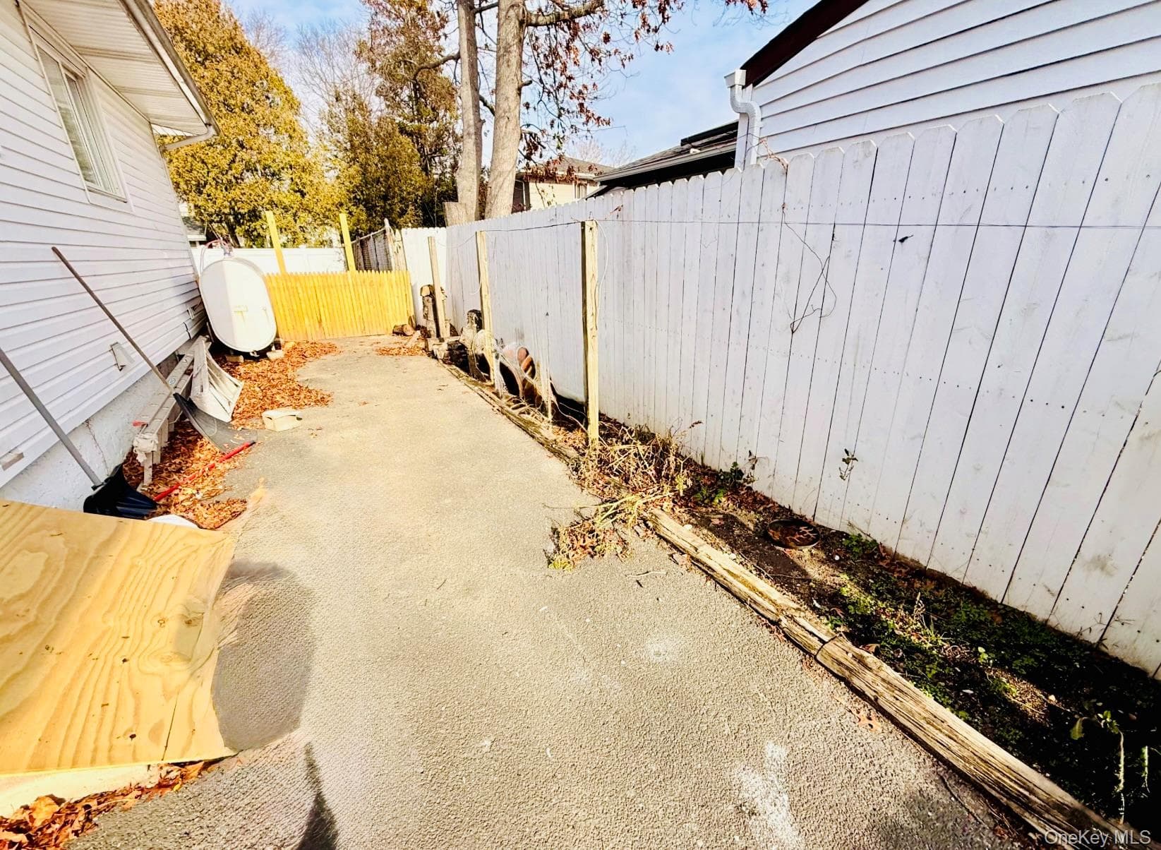 Photo 45
