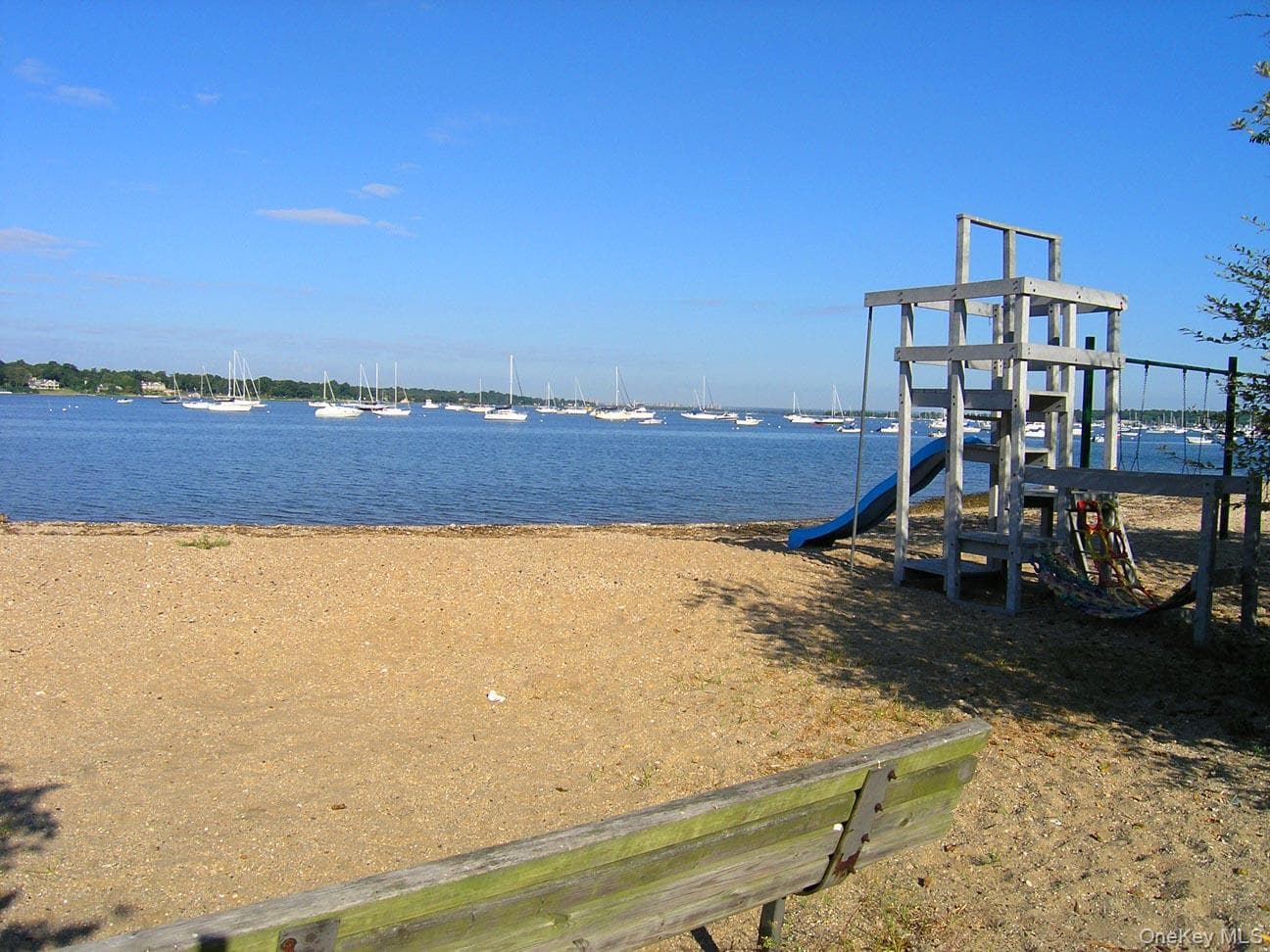 Photo 45