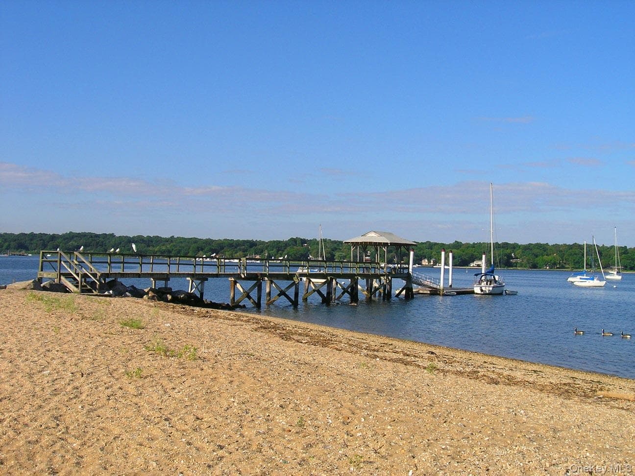Photo 47