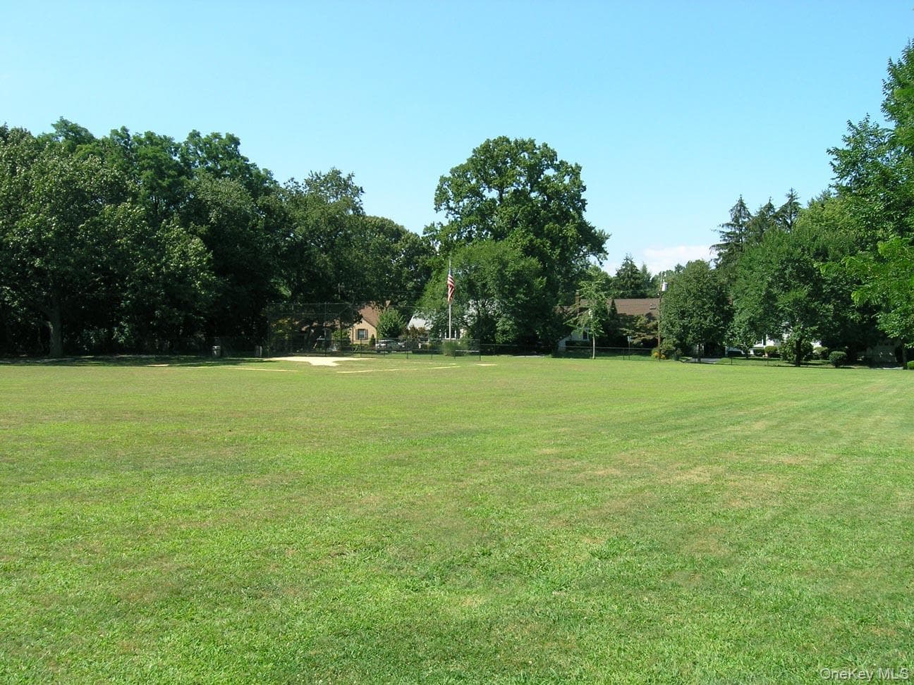 Photo 48