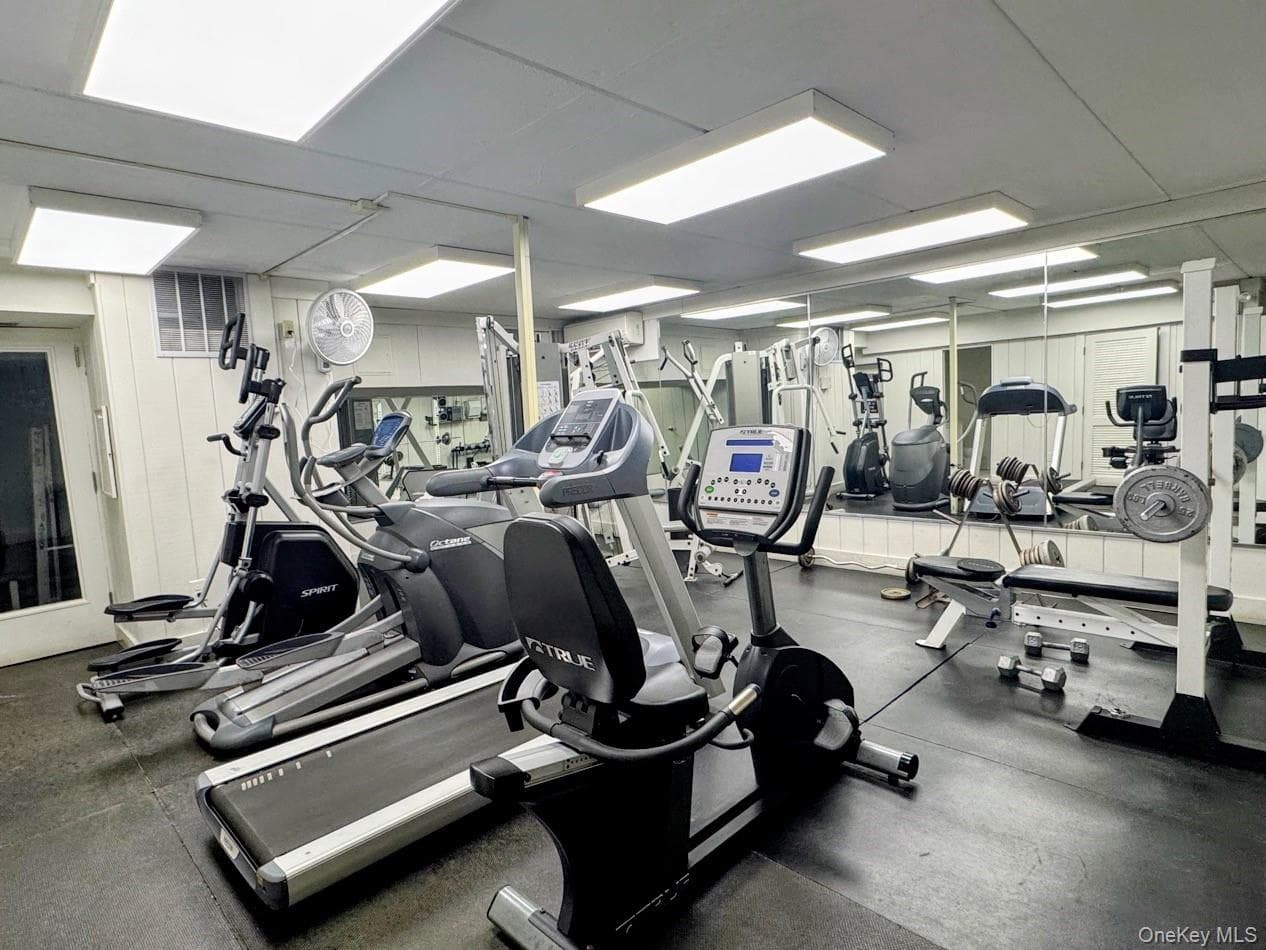 Gym