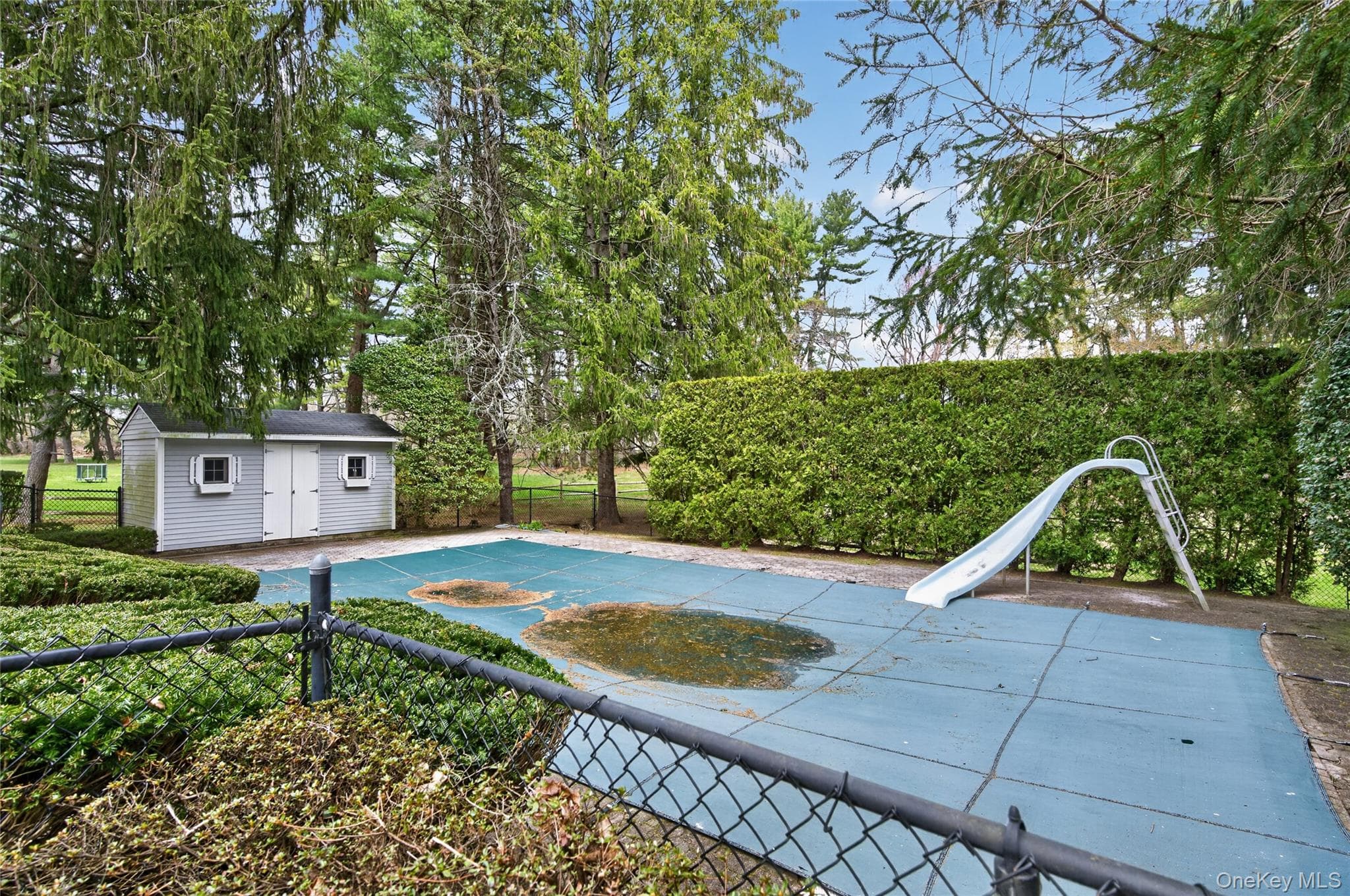 Pool