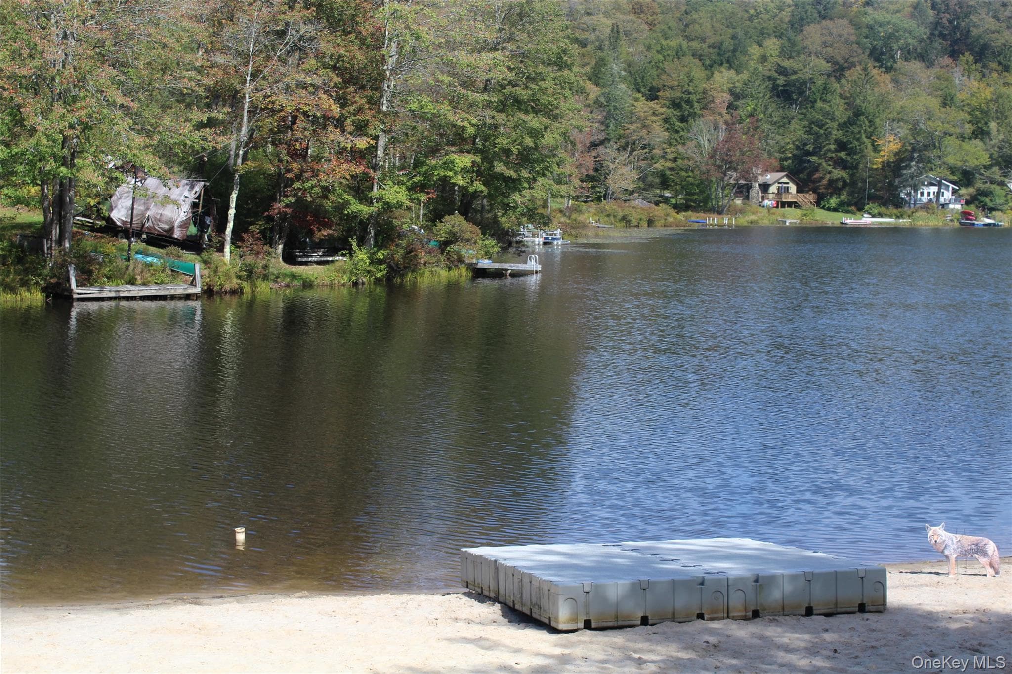 Photo 4
