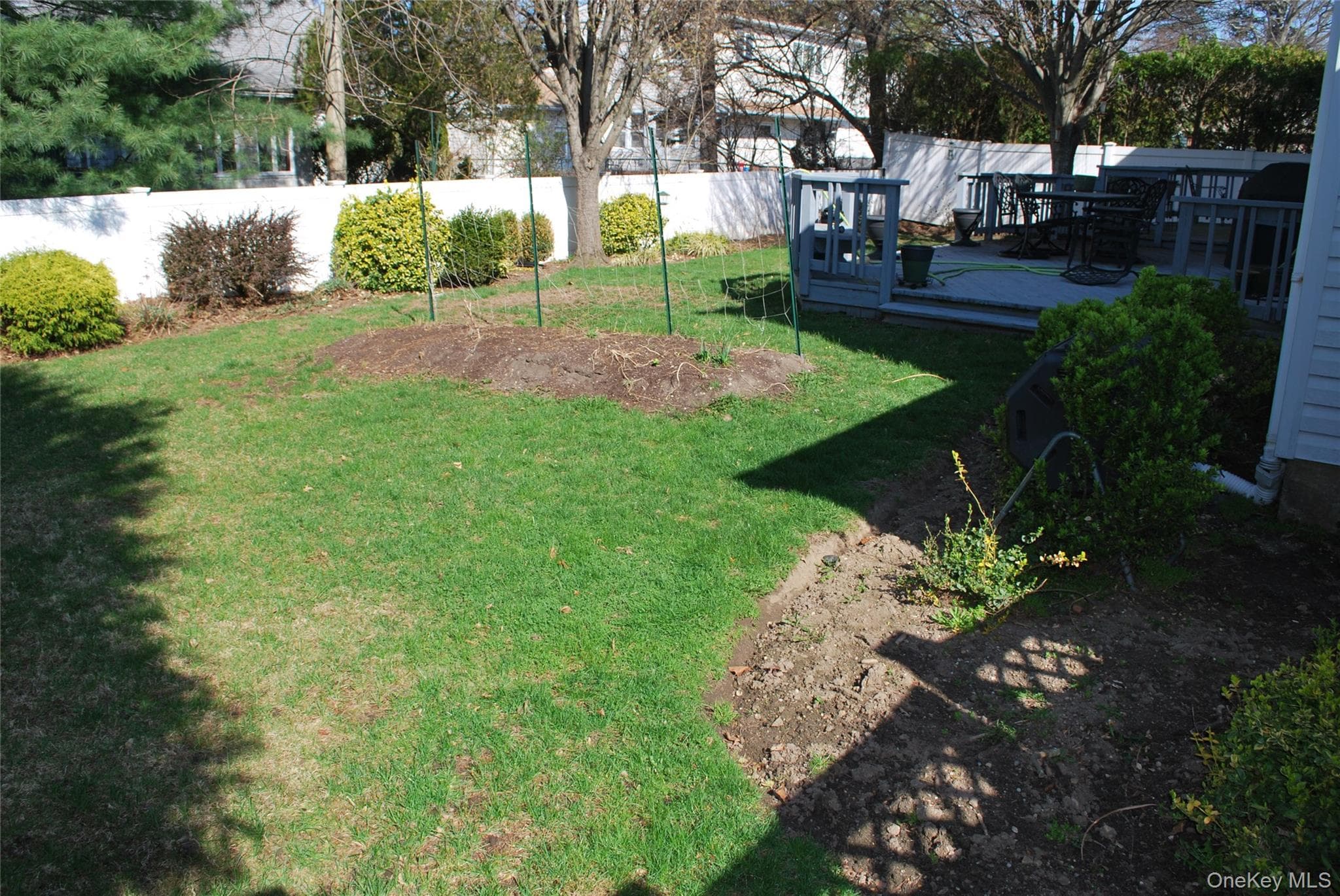 Yard