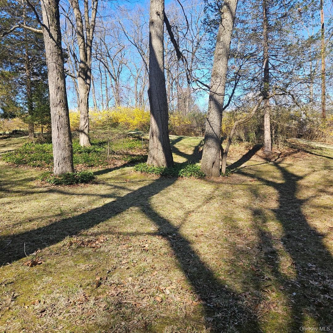 Yard