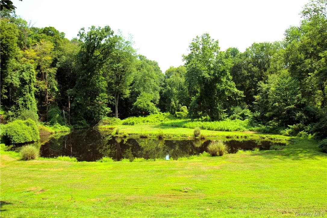 Pond