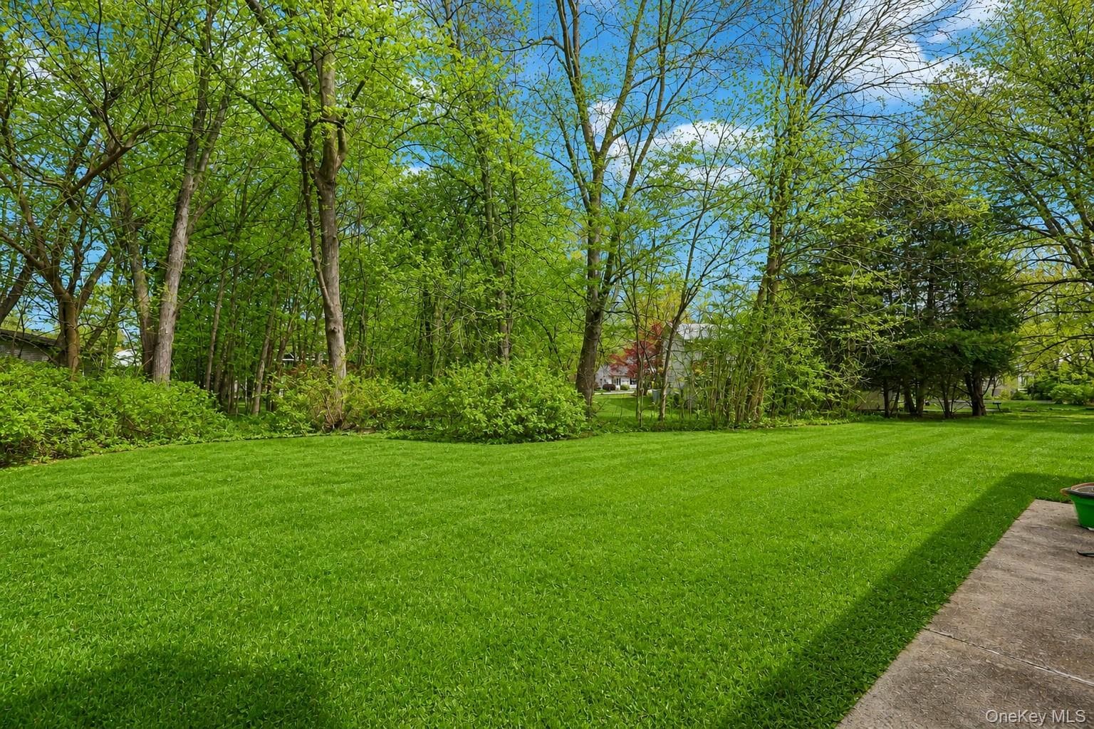 Yard