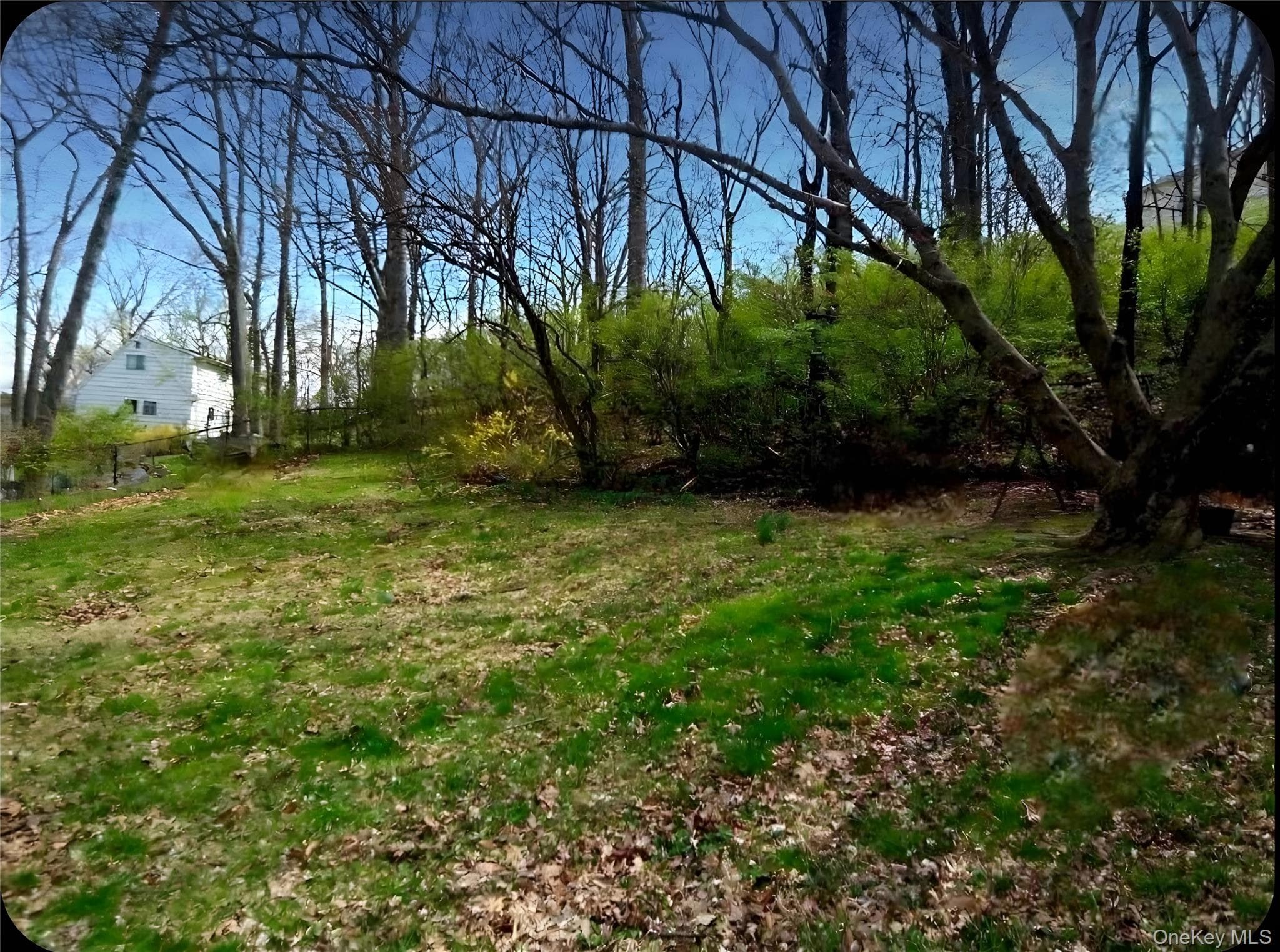 Yard