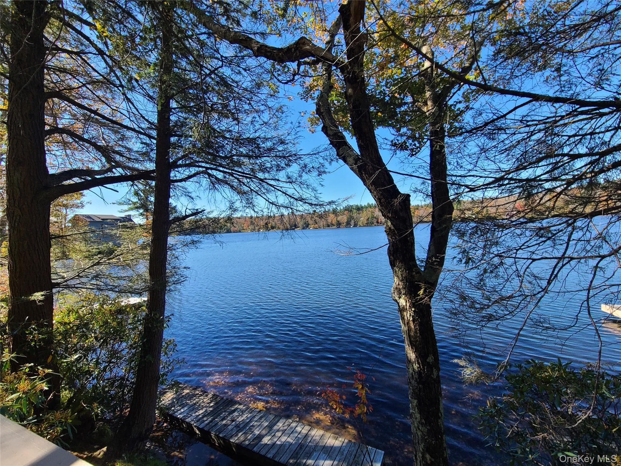 Dock