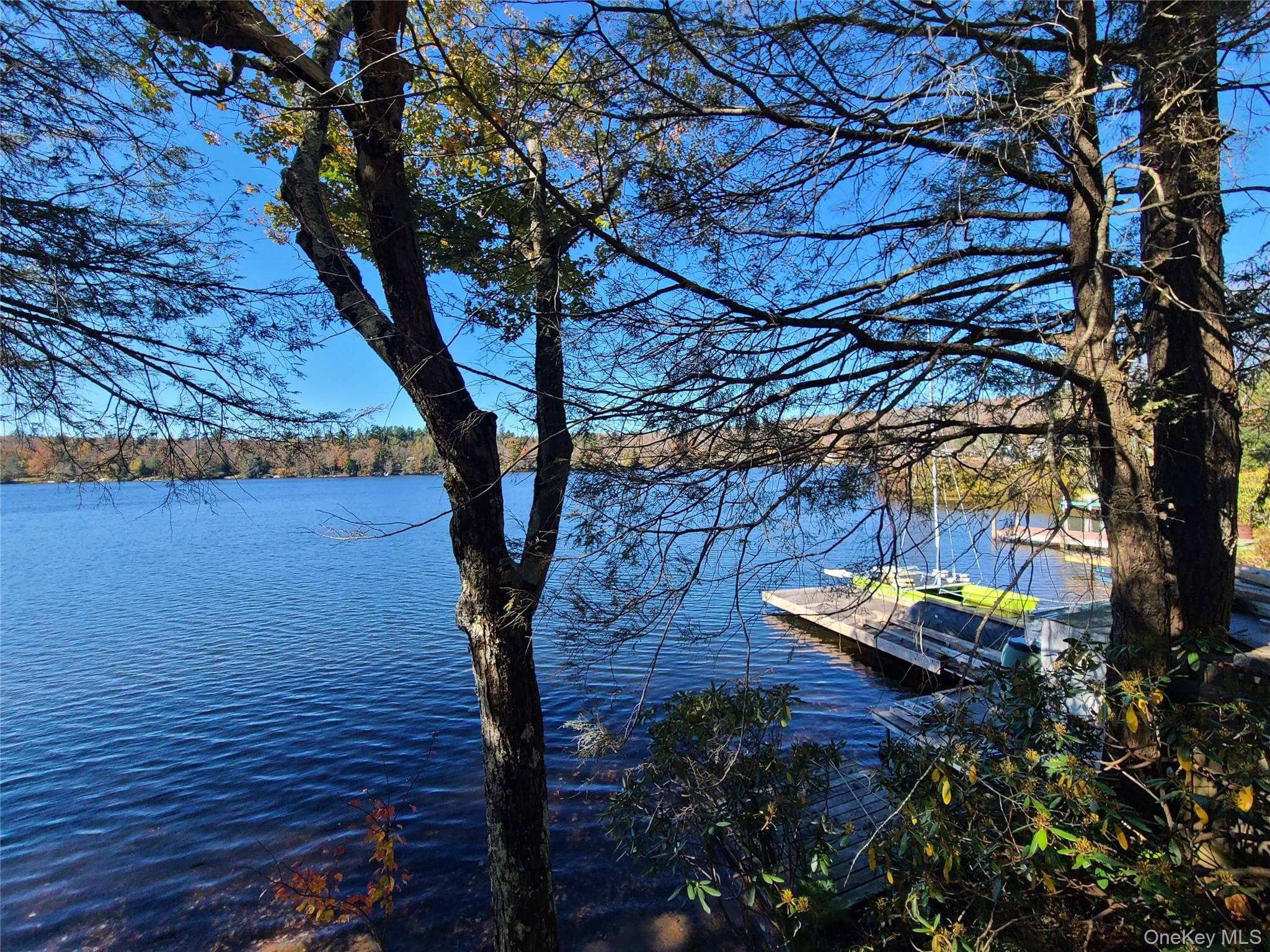 Dock