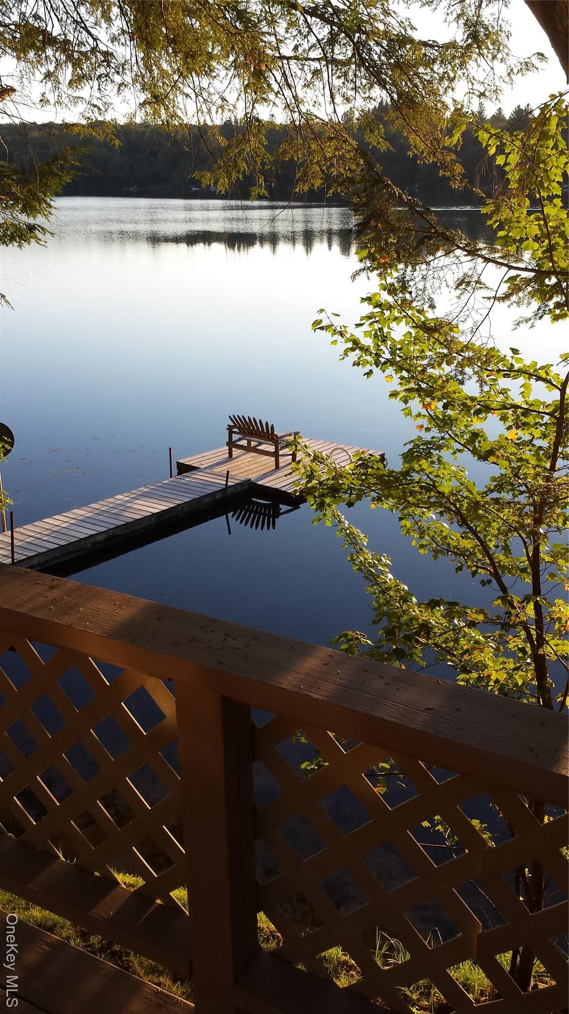 Dock