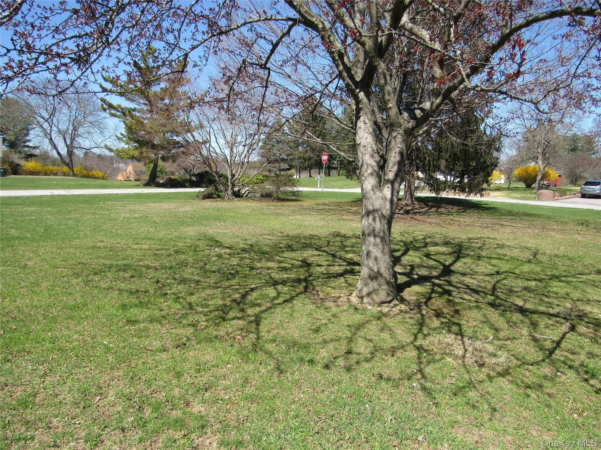 Yard